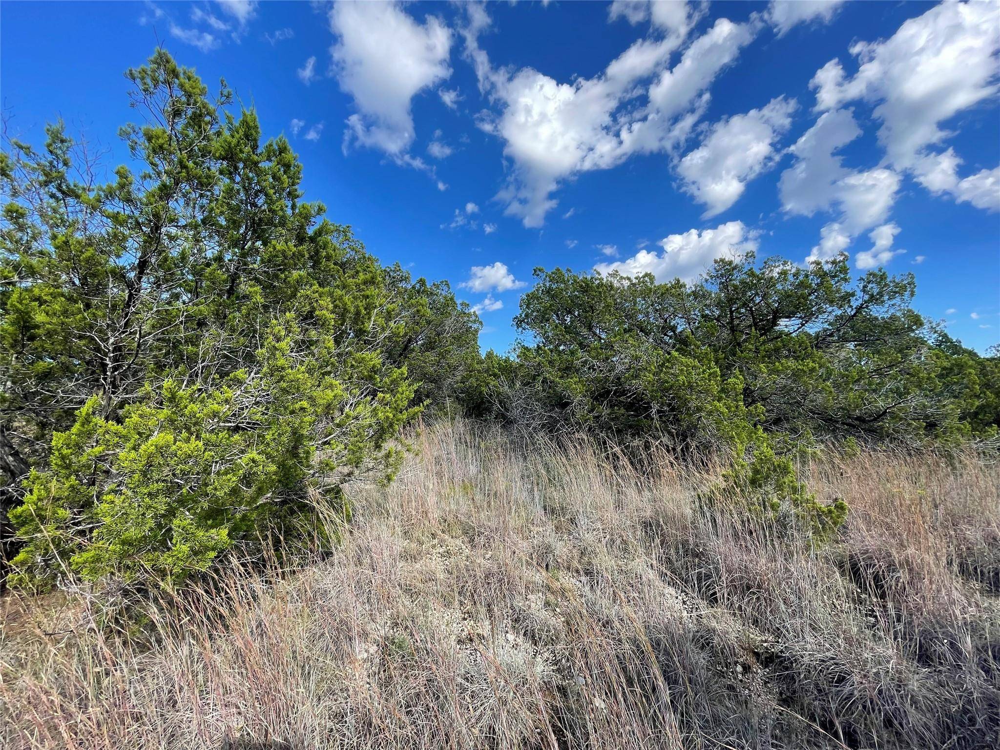 Tuscola, TX 79562,TBD Rustic Ridge