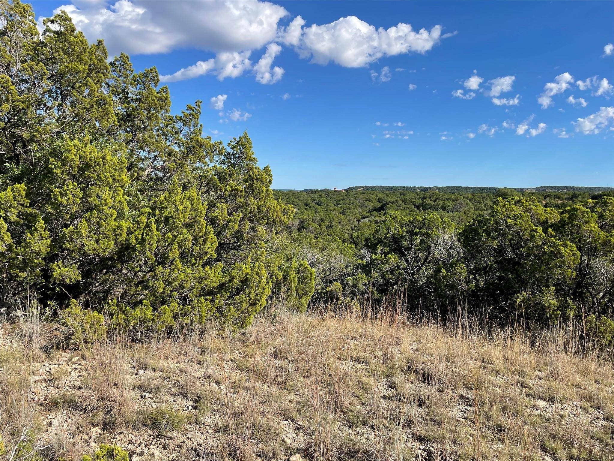 Tuscola, TX 79562,TBD Rustic Ridge