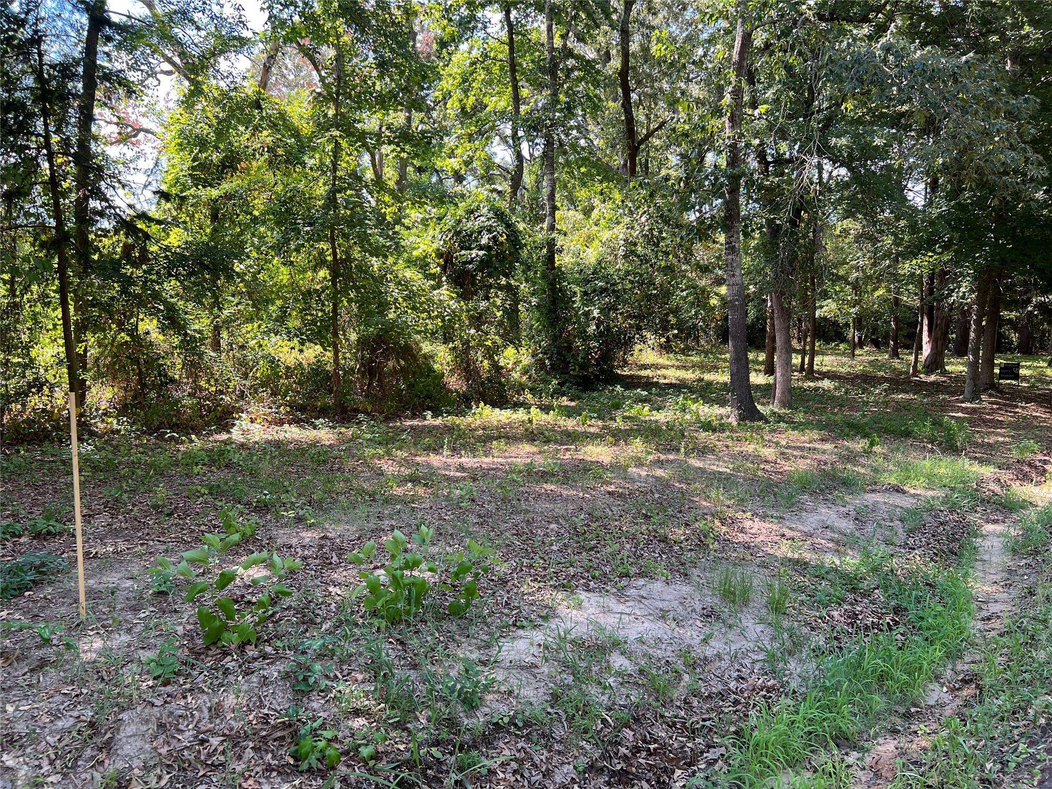 Mineola, TX 75773,TBD CR 2311