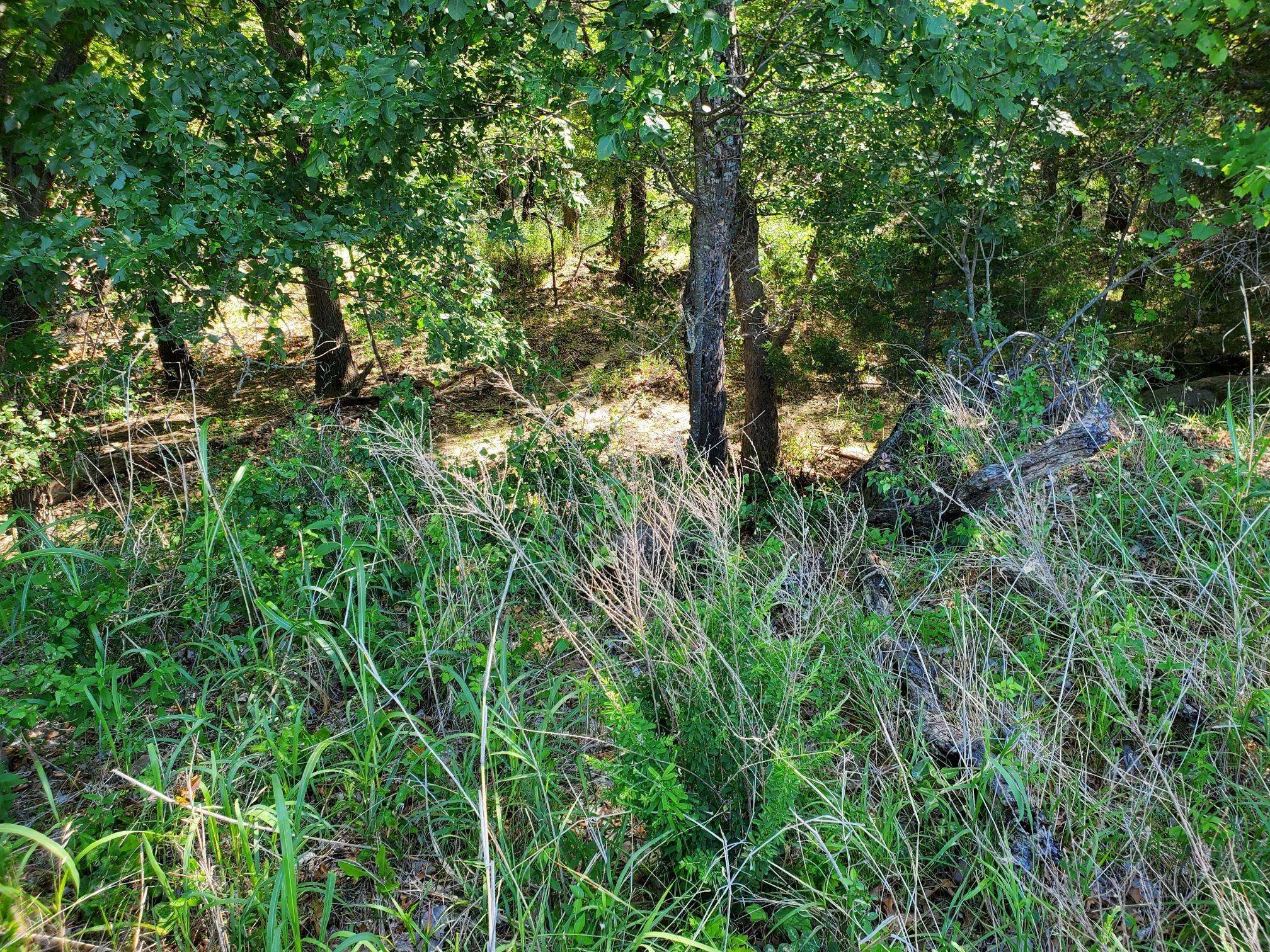 Bowie, TX 76230,Lot 558 Lake Horizon Court