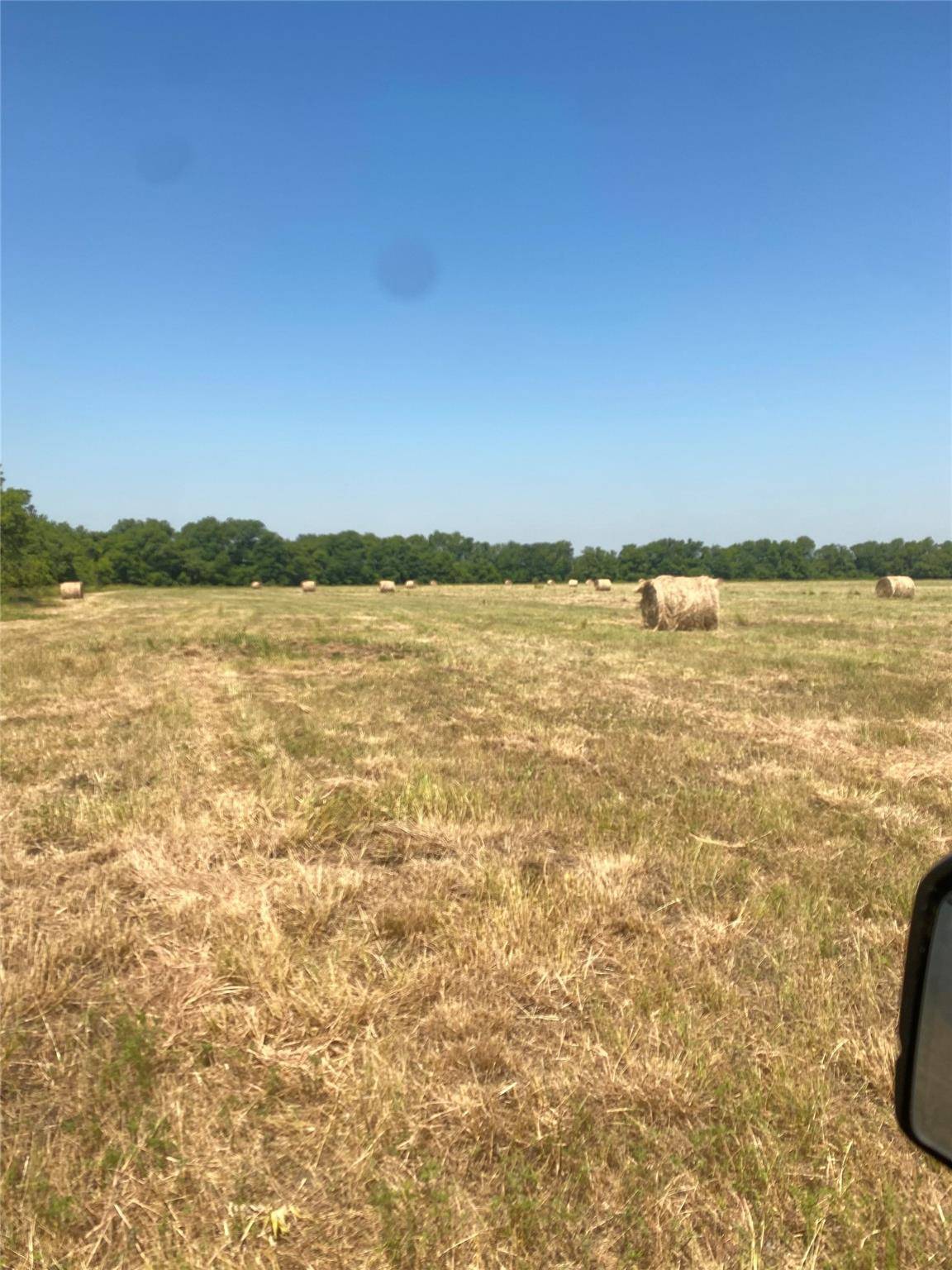 Honey Grove, TX 75446,TBD County Rd 3230