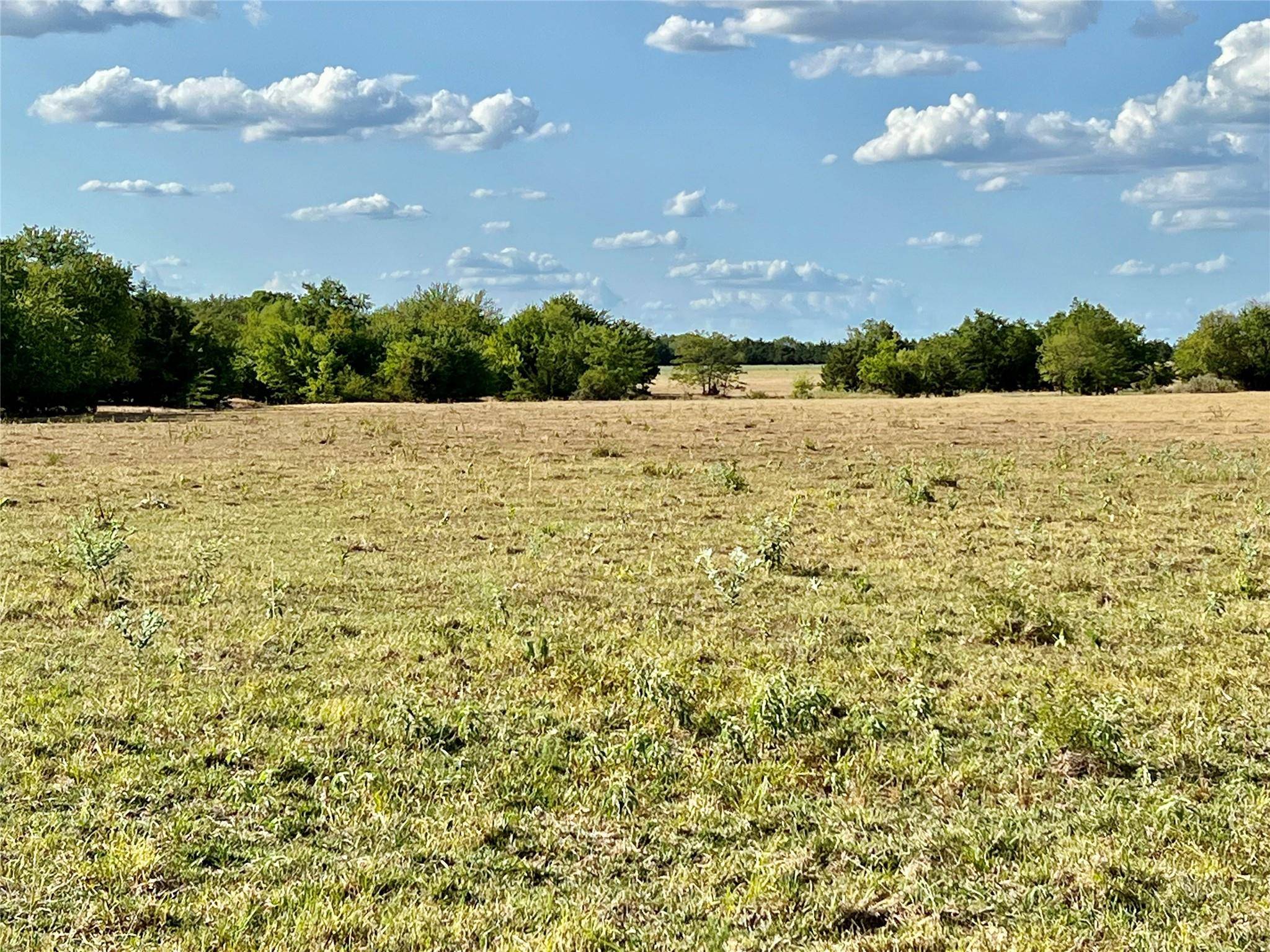 Blossom, TX 75416,Lot 6 CR 15100