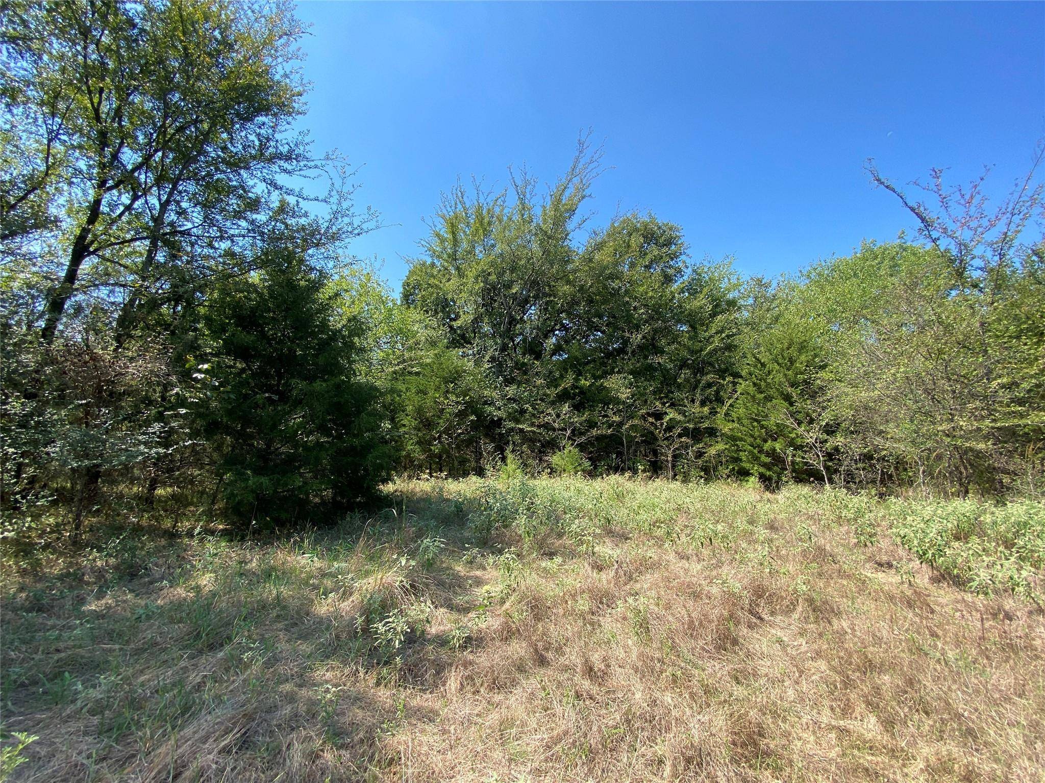 Sulphur Springs, TX 75482,10ac East Interstate 30