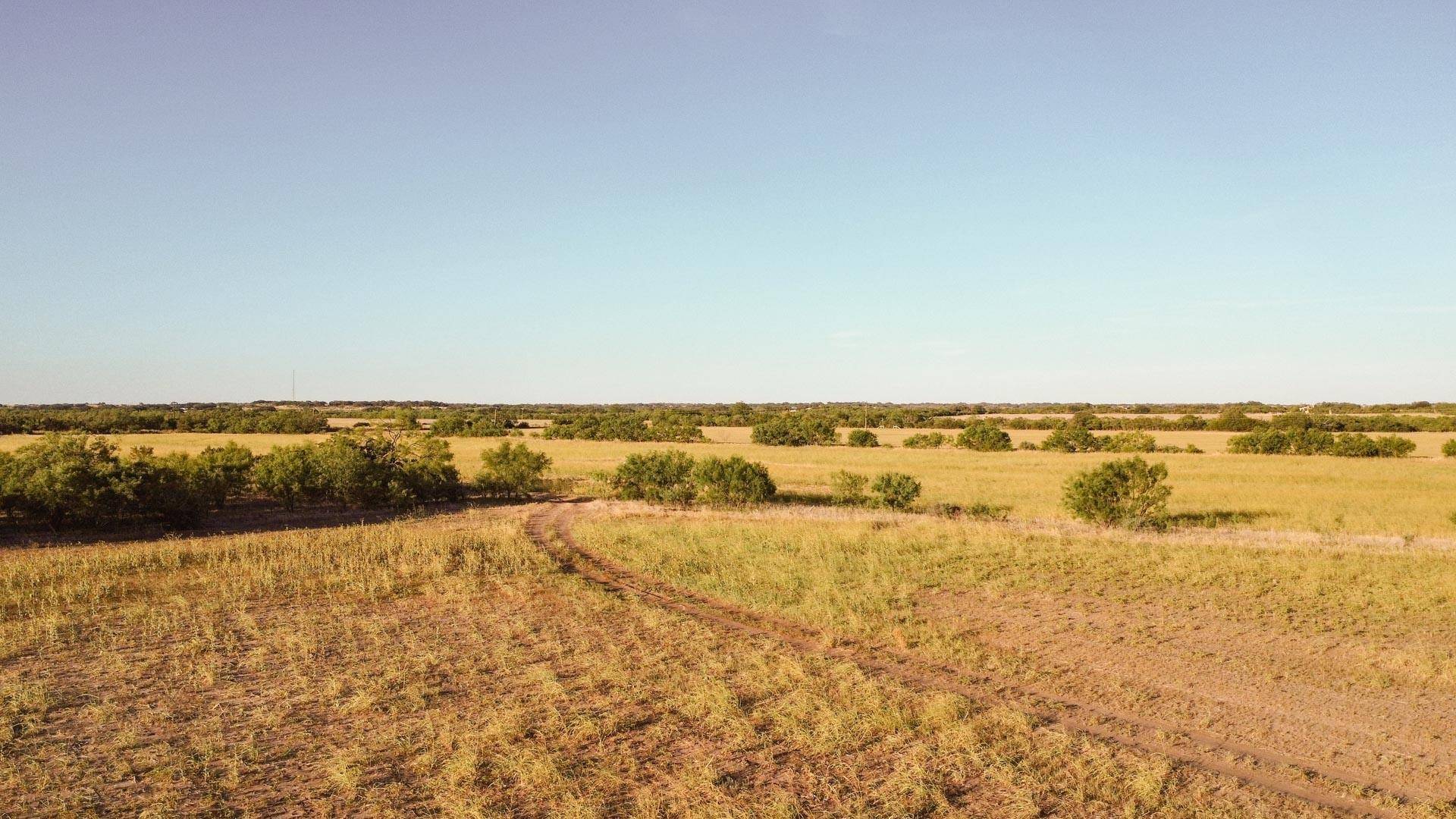 Talpa, TX 76882,TBD CR 409