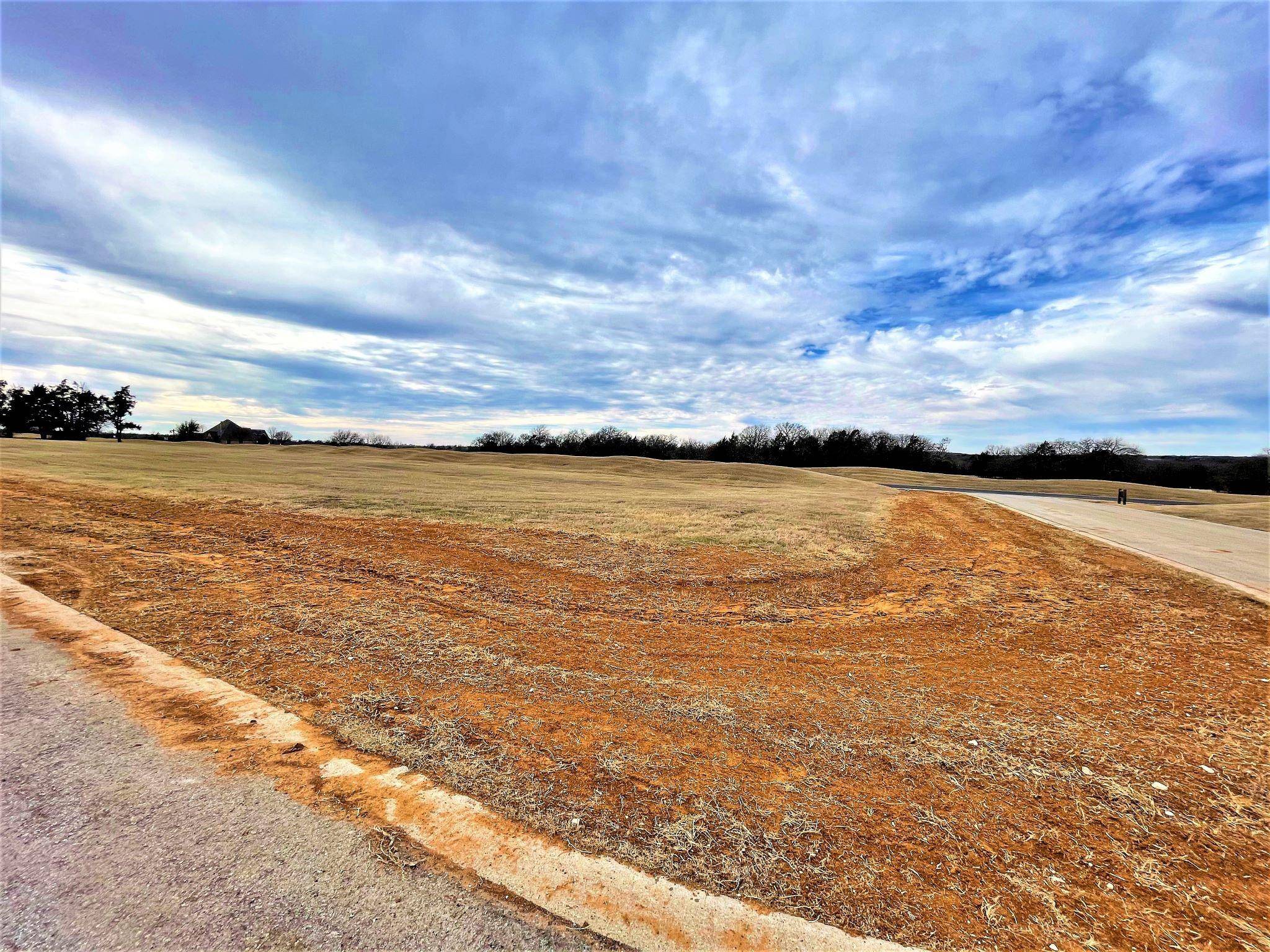 Gordonville, TX 76245,Lot 1D Pasadera