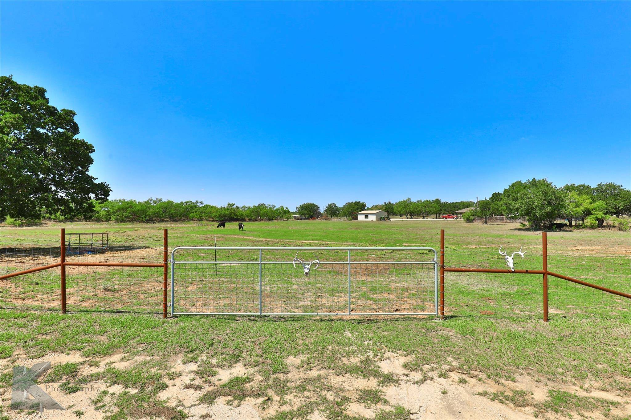 Baird, TX 79504,4412 County Road 279