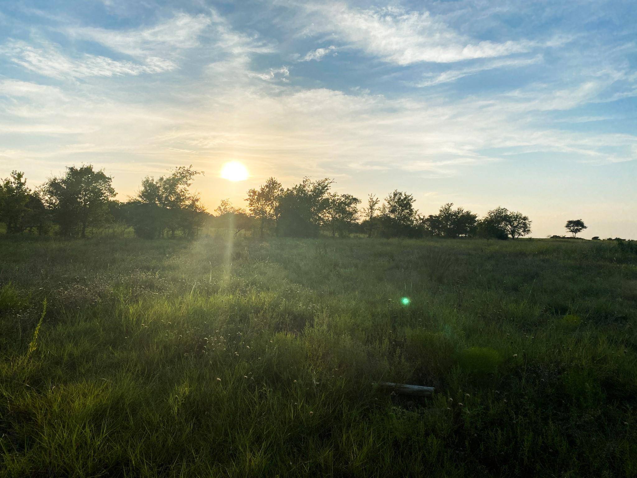 Gatesville, TX 76528,TBD Old Pidcoke