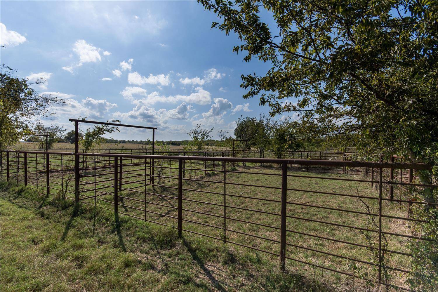 Lone Oak, TX 75453,644 Ac County Road 1610