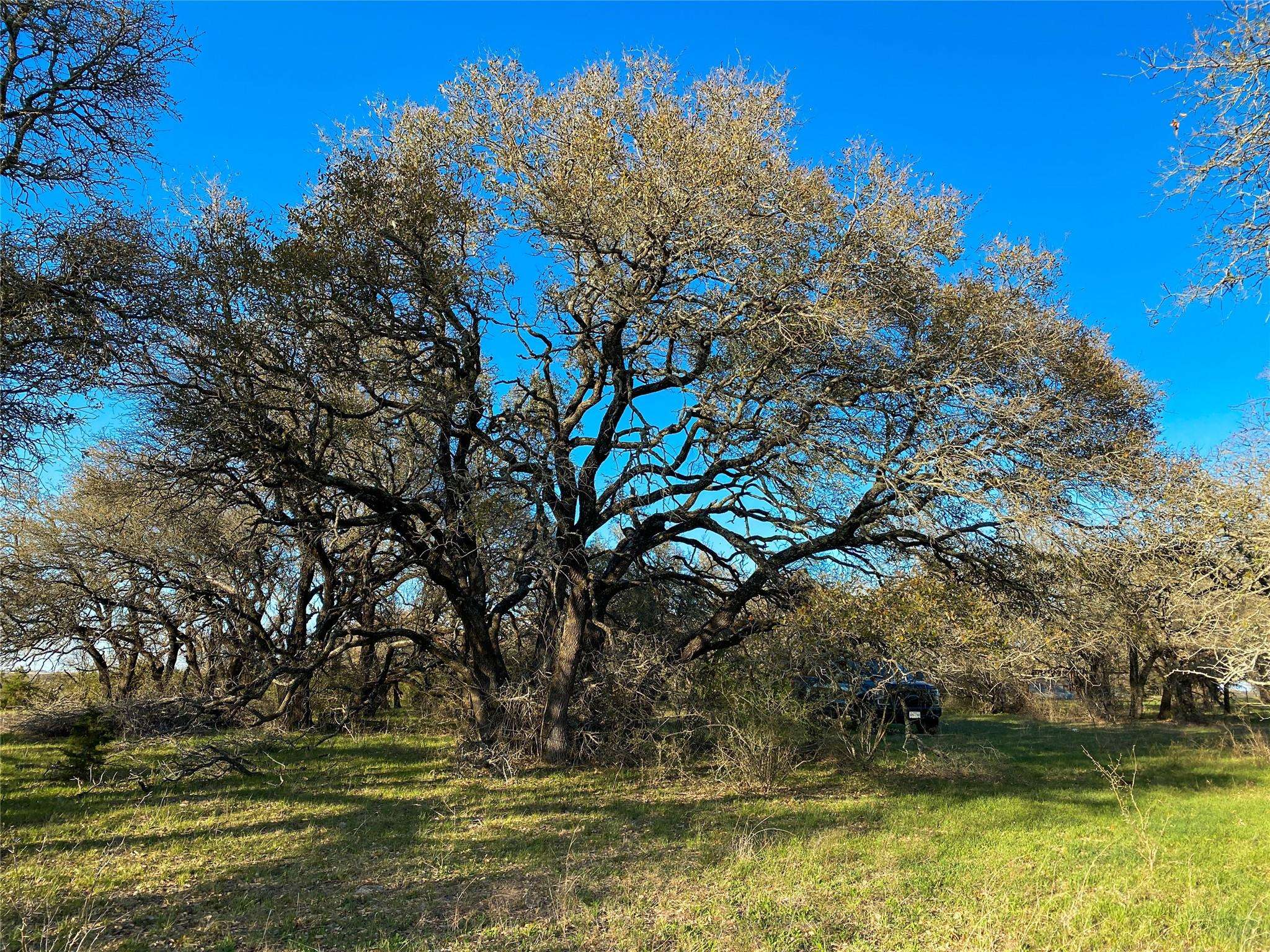 Purmela, TX 76566,550 CR 425