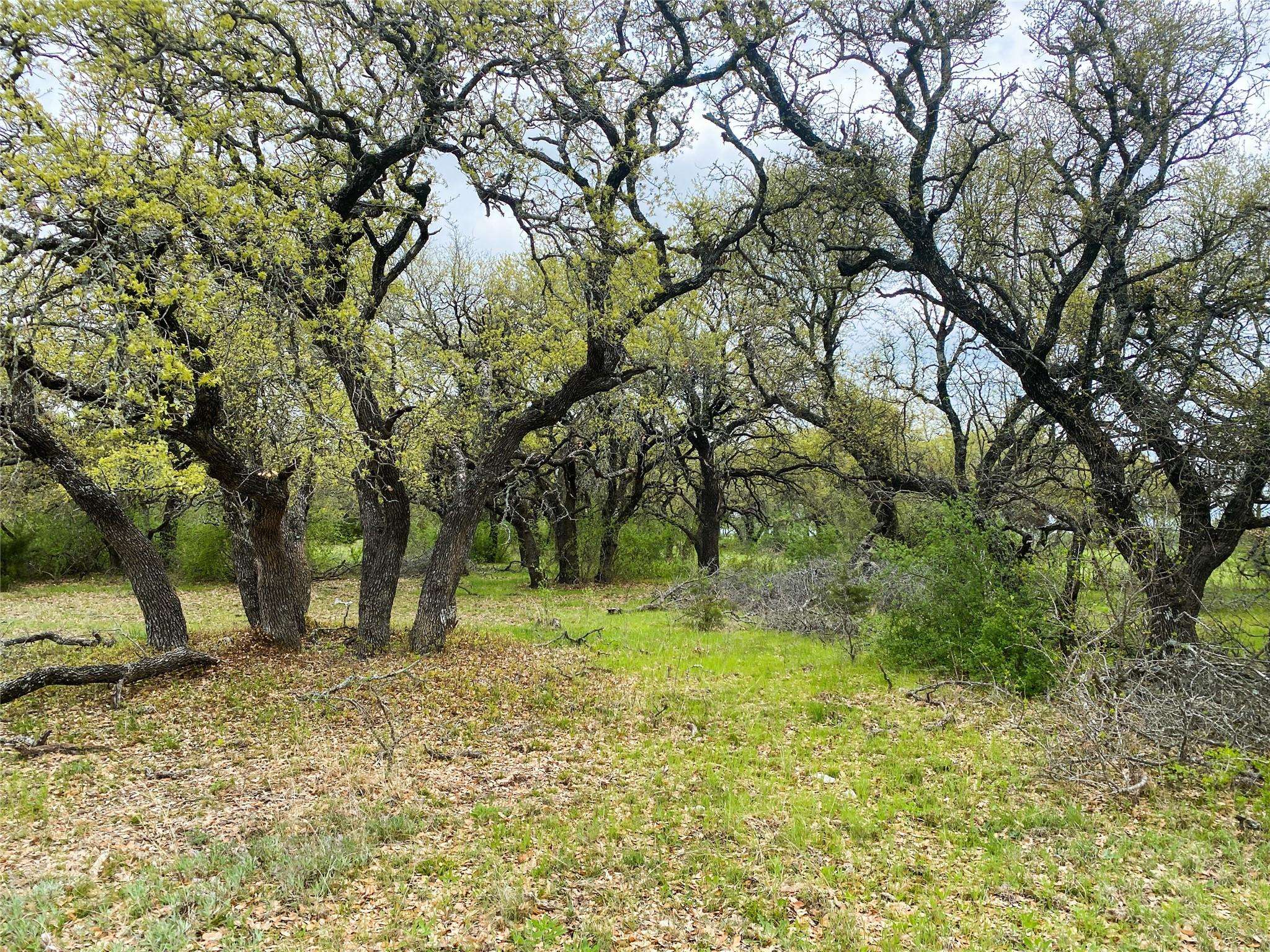 Purmela, TX 76566,550 CR 425