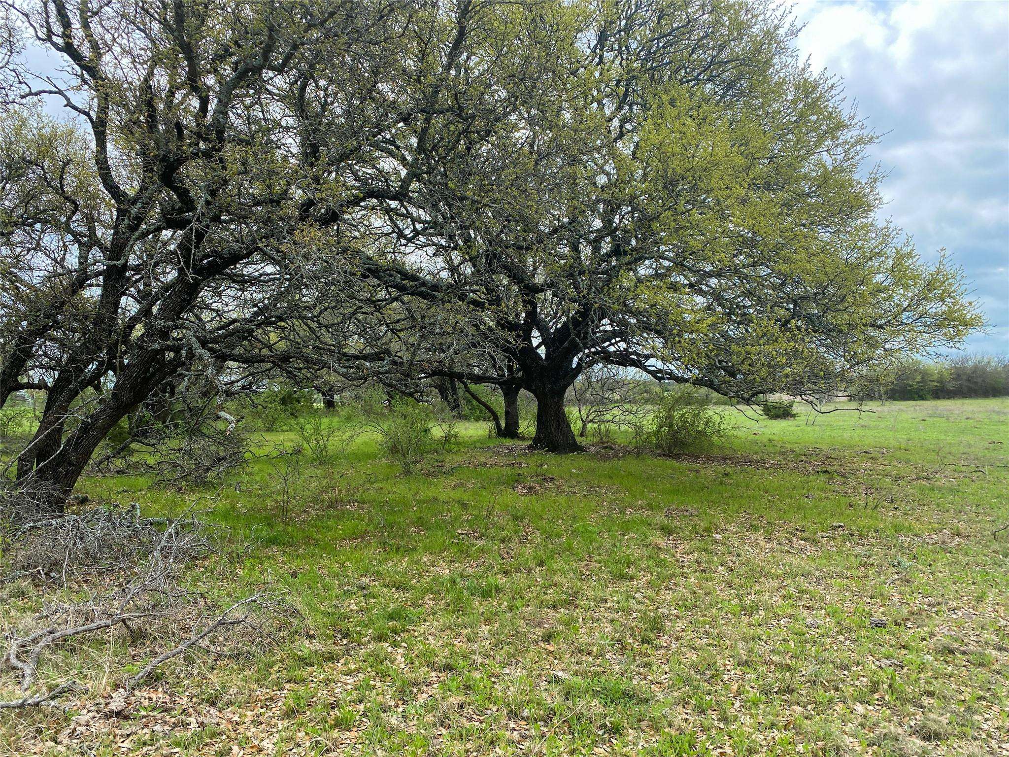 Purmela, TX 76566,550 CR 425