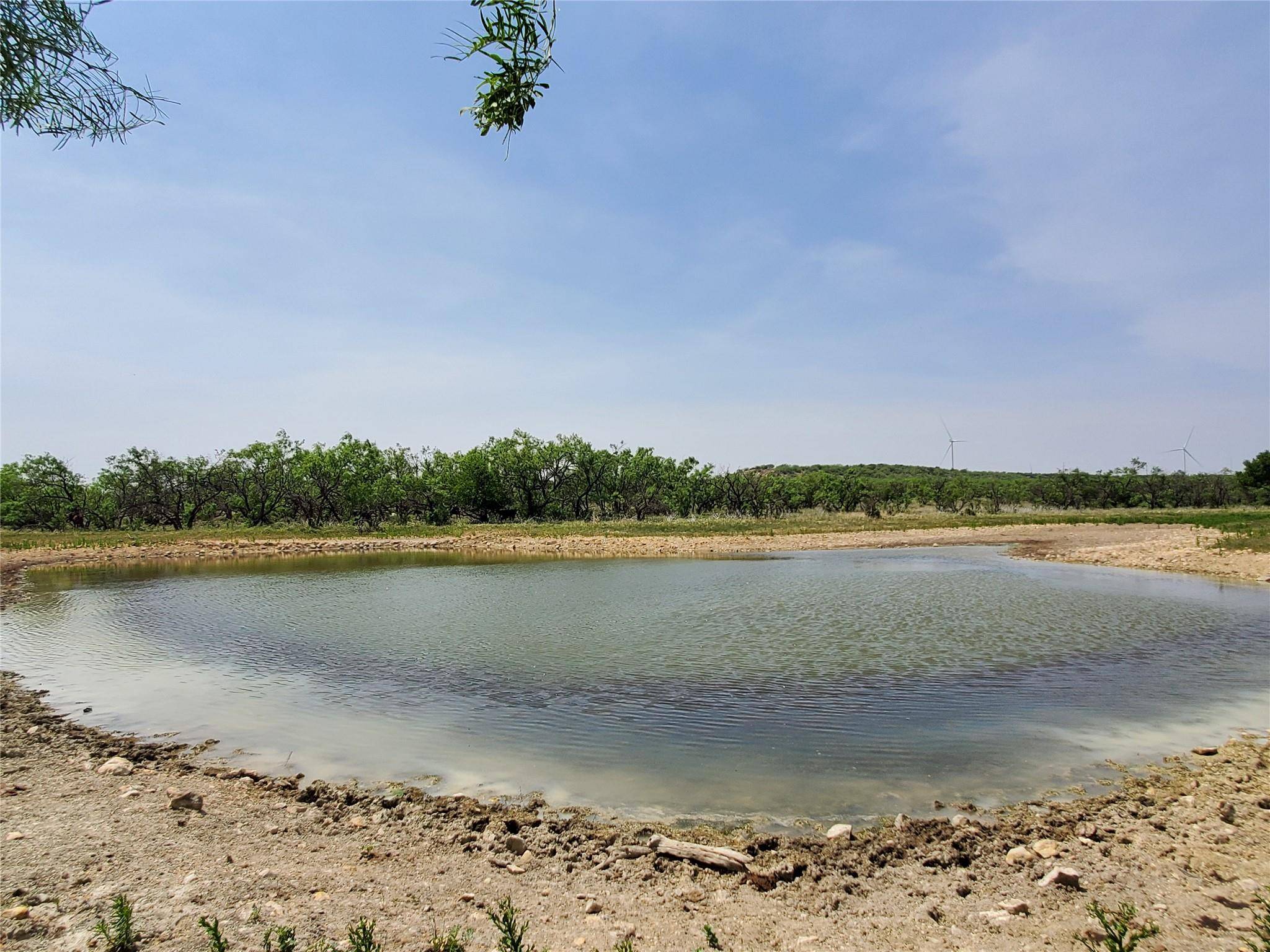 Throckmorton, TX 76483,TBD CR 232