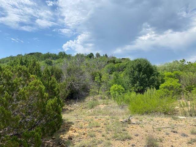 Graford, TX 76449,Lot 699 Balcones Lane