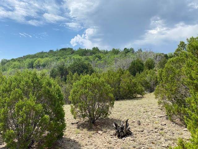 Graford, TX 76449,Lot 699 Balcones Lane