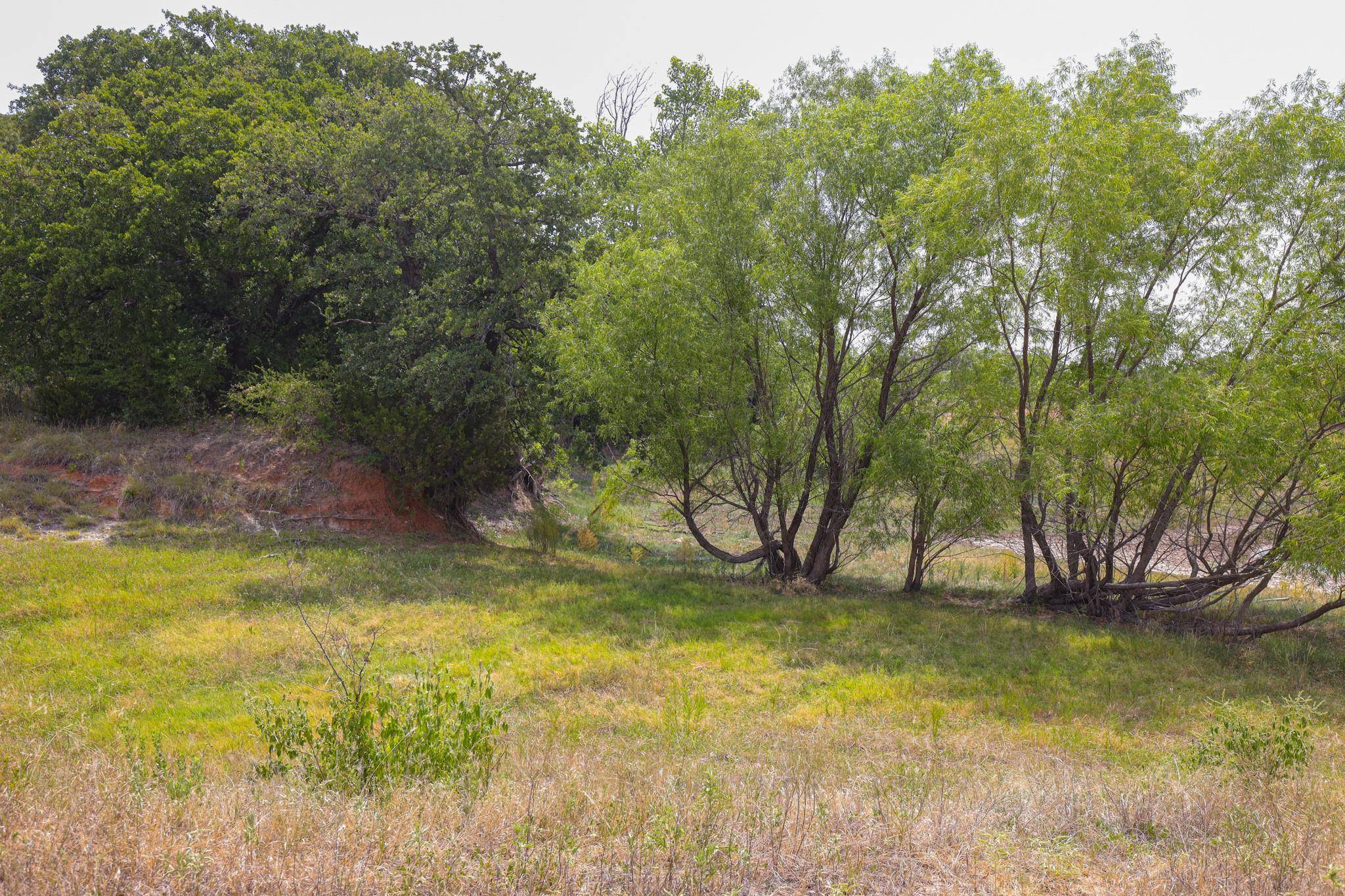 Poolville, TX 76487,Lot 14 Aslan Road