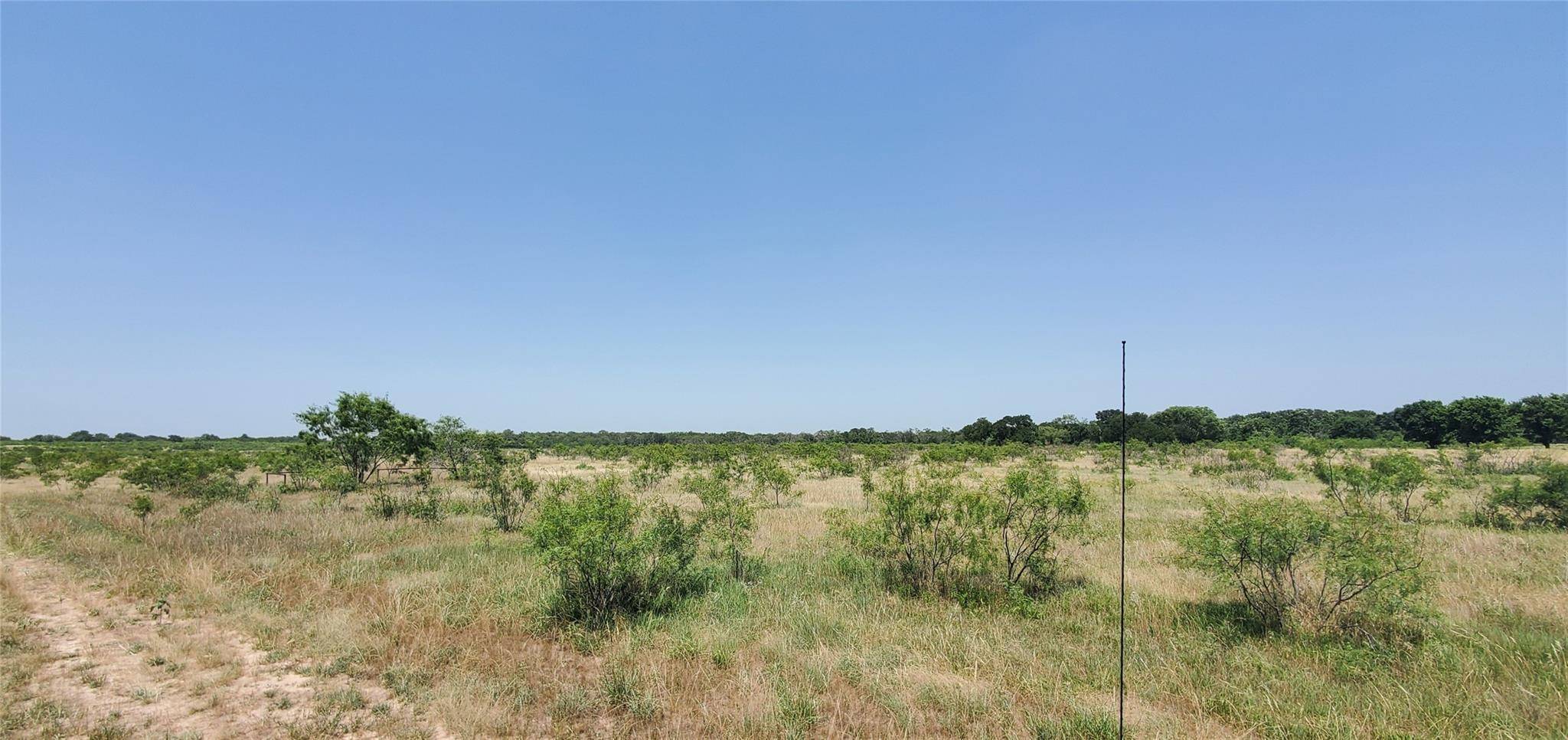 Dawson, TX 76639,14520 SW CR2260