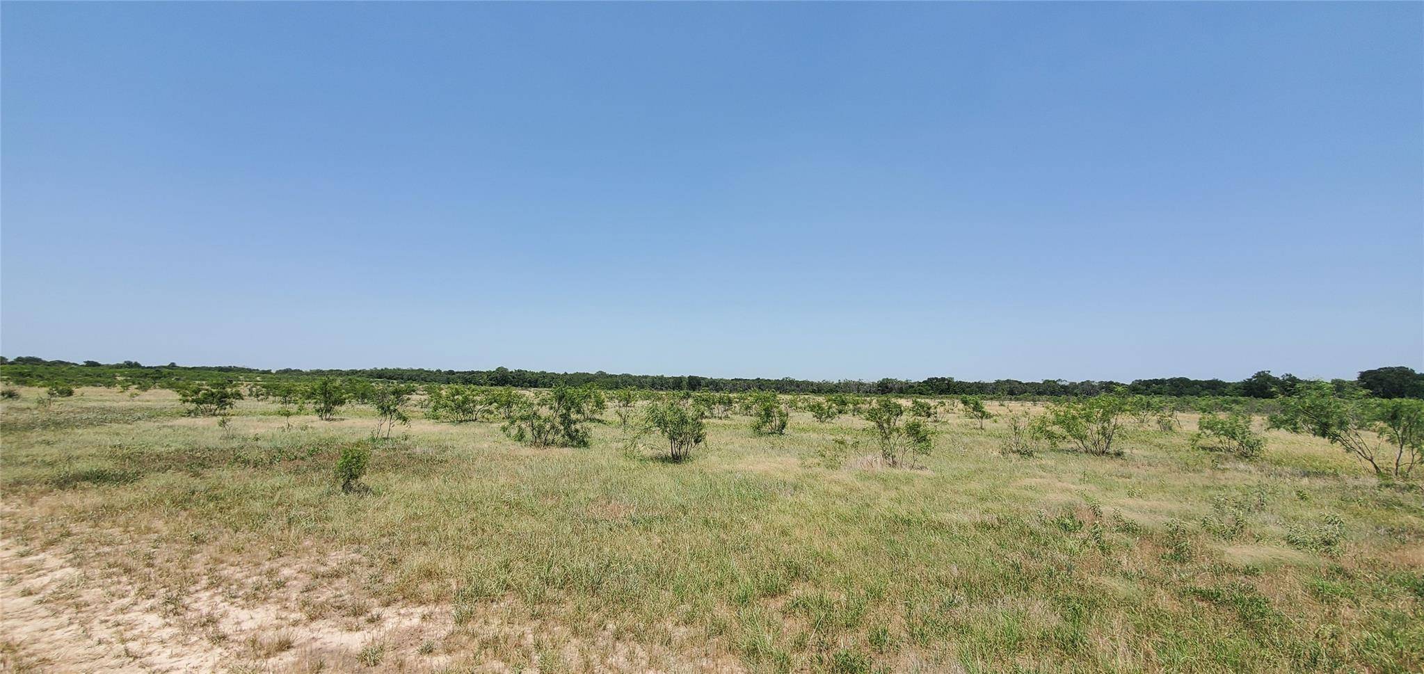 Dawson, TX 76639,14520 SW CR2260