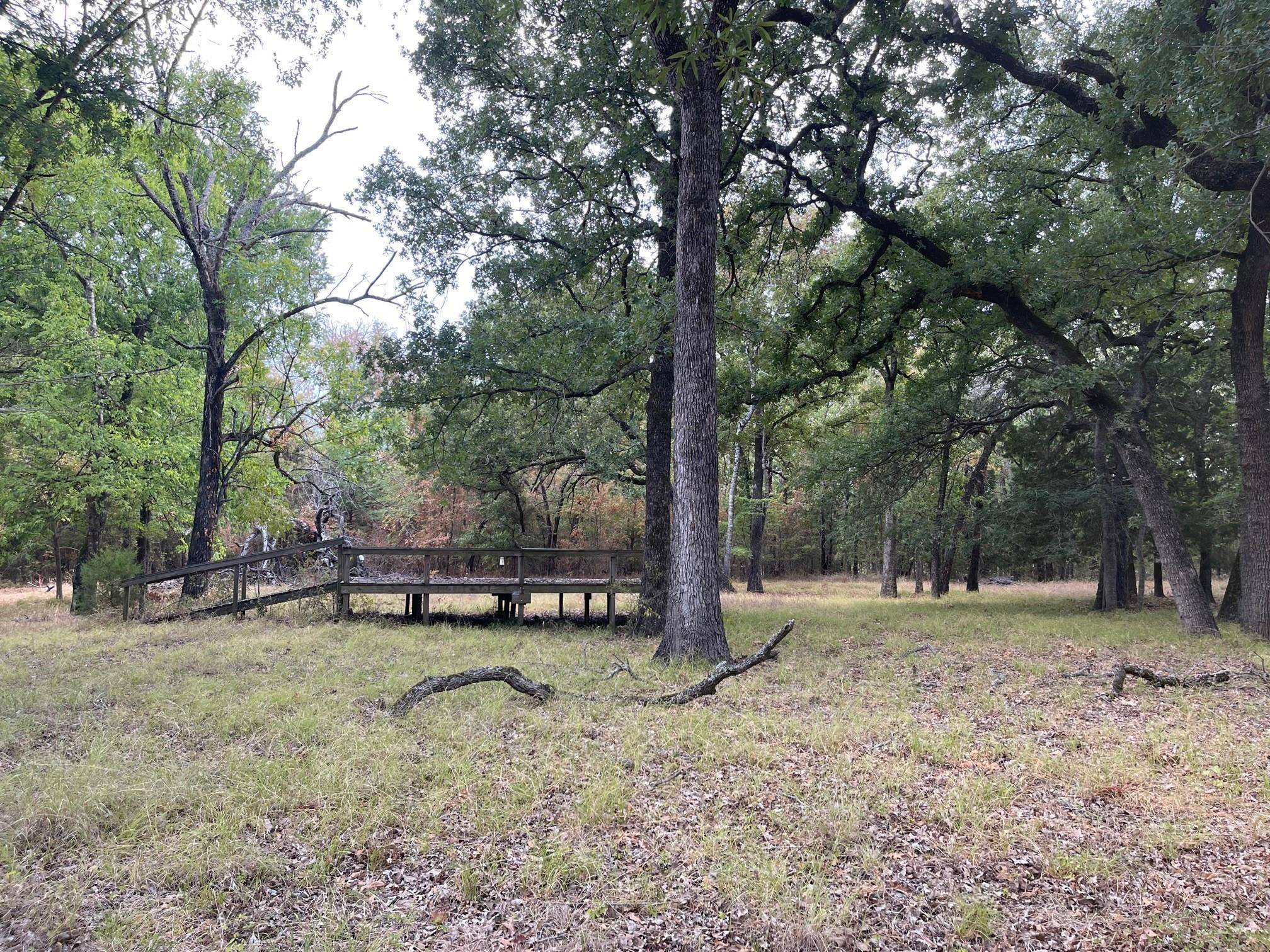 Streetman, TX 75859,Lot 8 Walker Trace