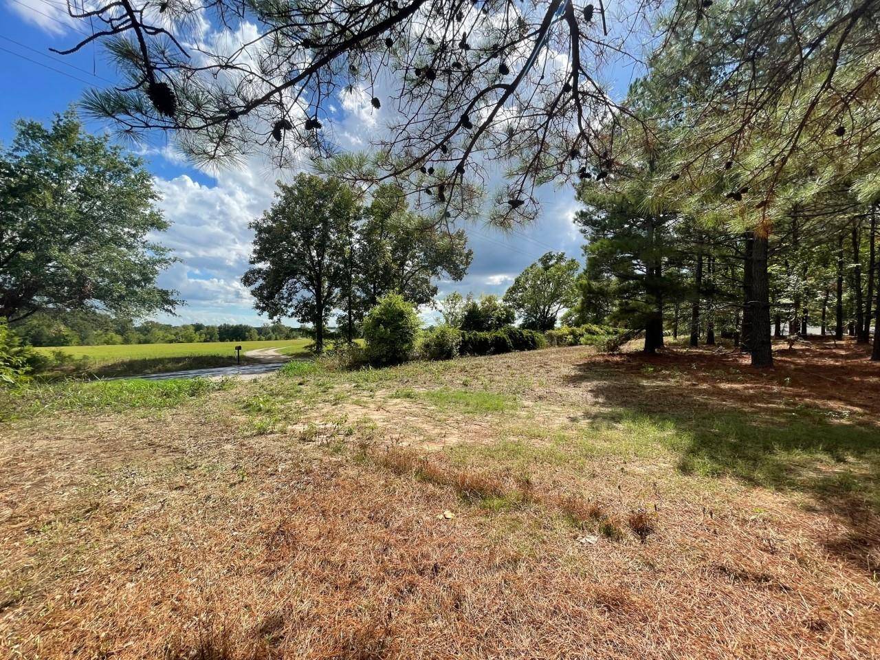 Grand Saline, TX 75140,TBD VZ County Road 1224