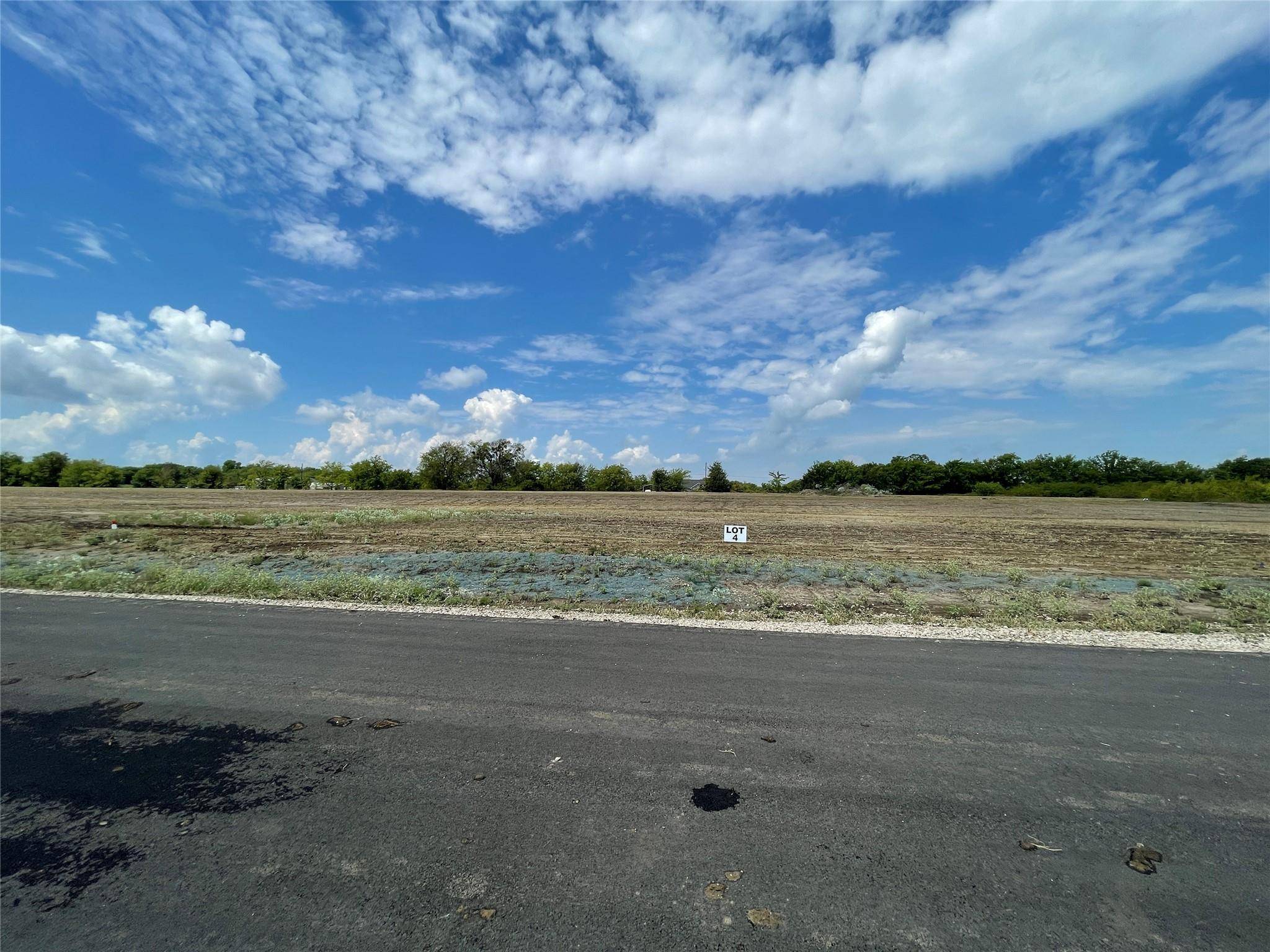 Lone Oak, TX 75453,LOT 3 Fm 513