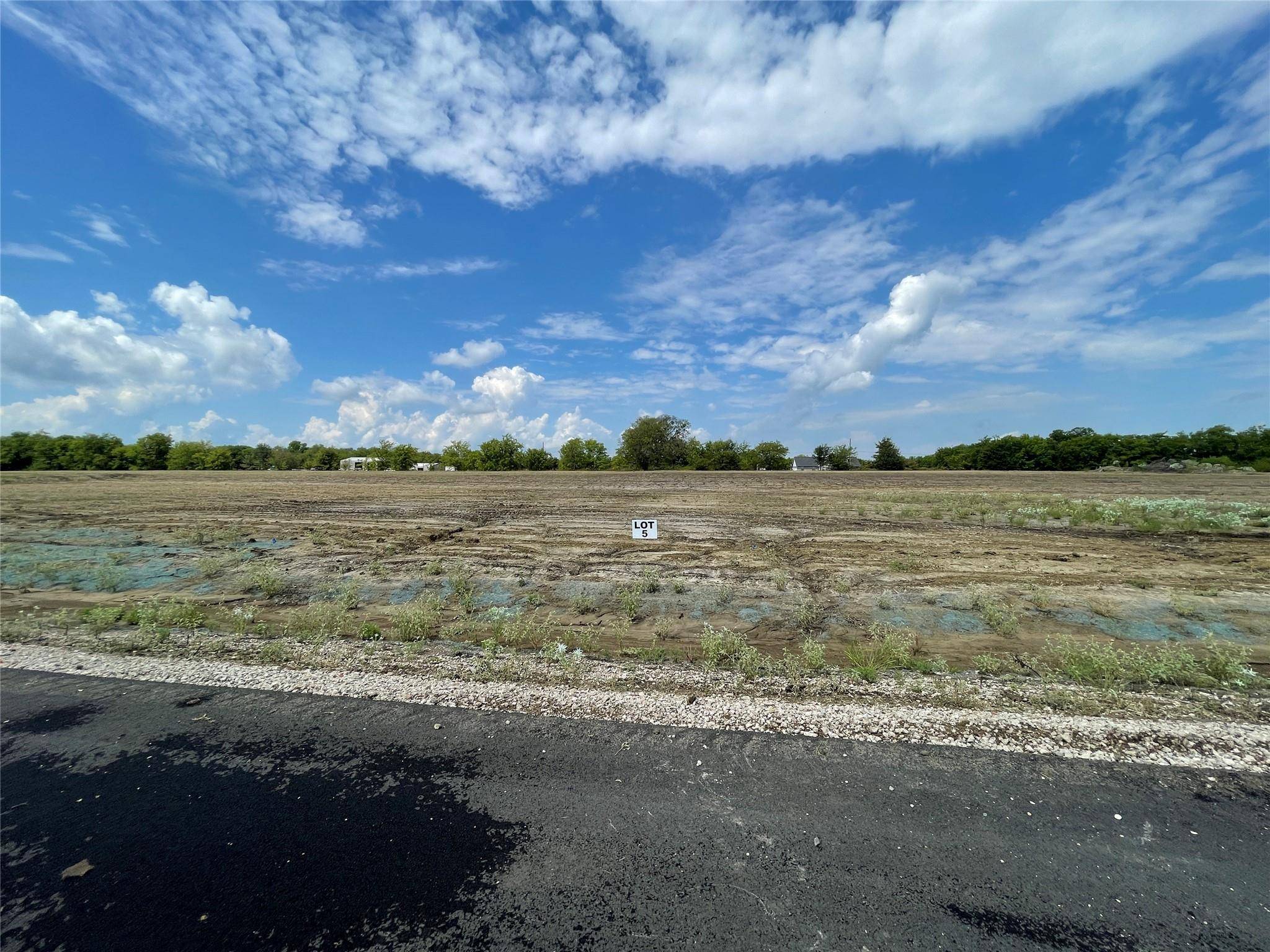 Lone Oak, TX 75453,LOT 3 Fm 513