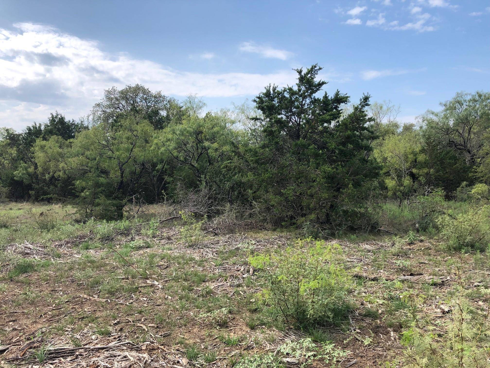 Sidney, TX 76442,TBD Tract 2 CR 175