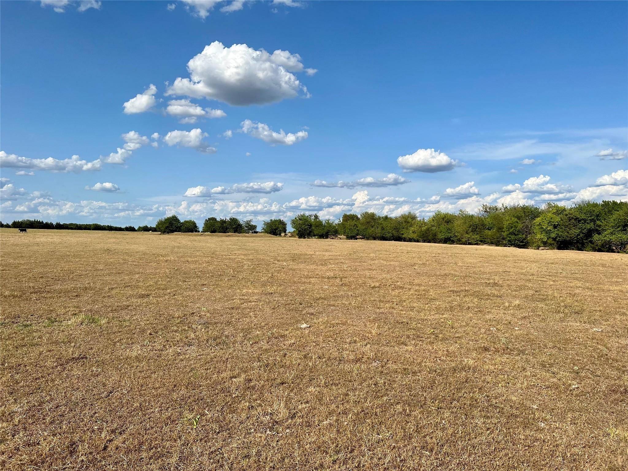 Blossom, TX 75416,Lot 5 CR 15100