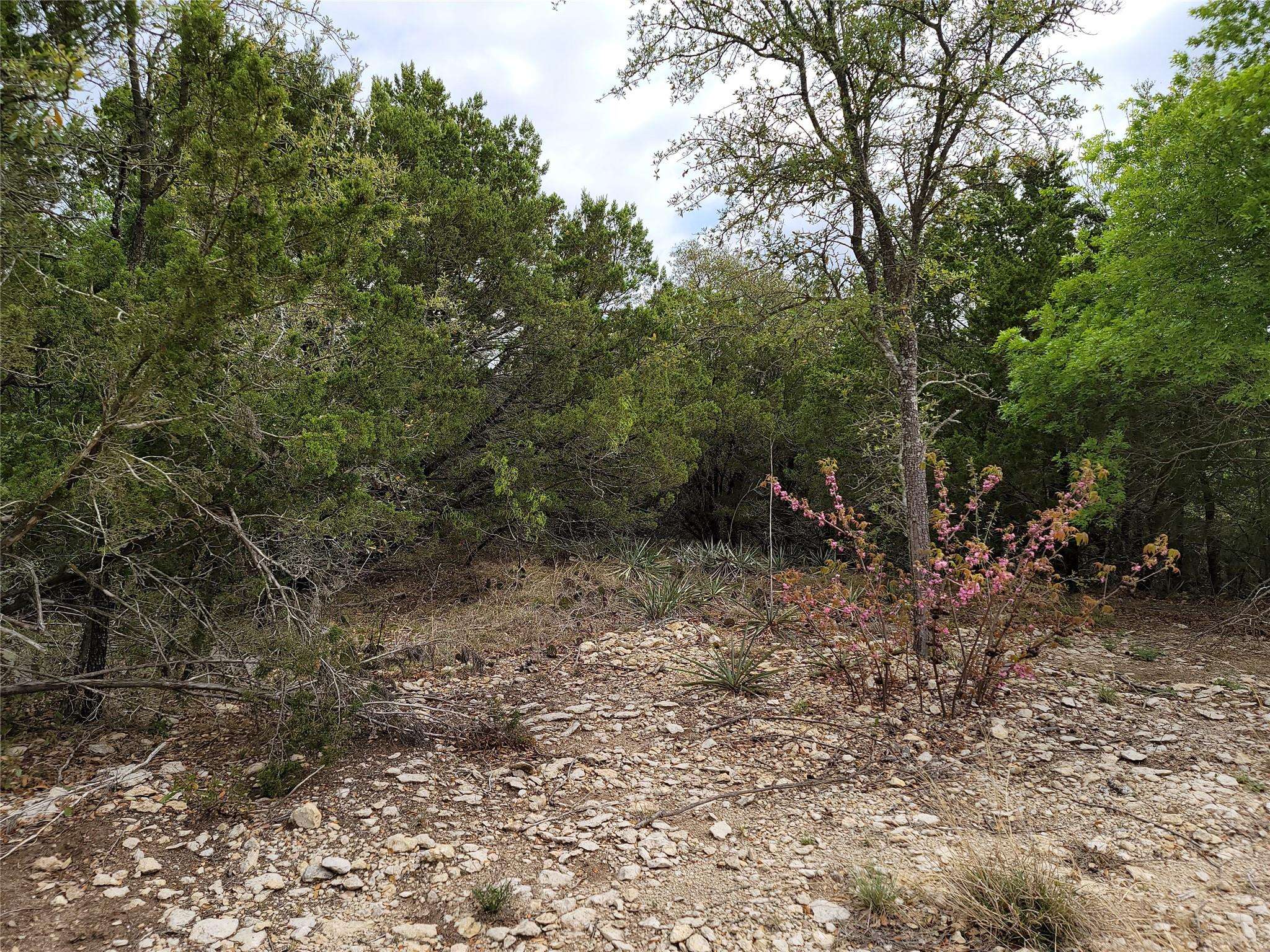 Weatherford, TX 76086,TBD Wagon Wheel Trail