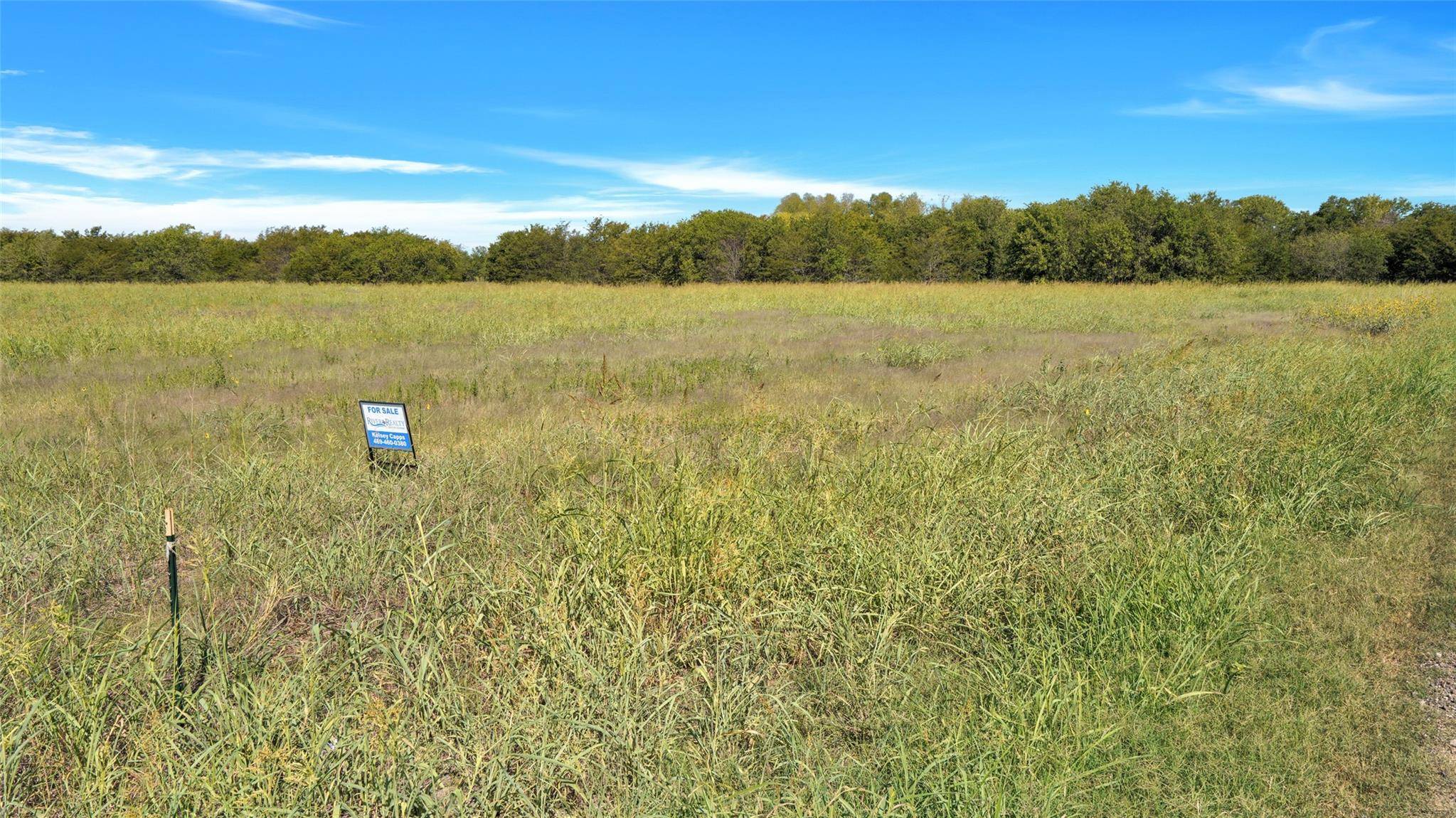 Caddo Mills, TX 75135,Lot 5: 2415 County Rd 2134