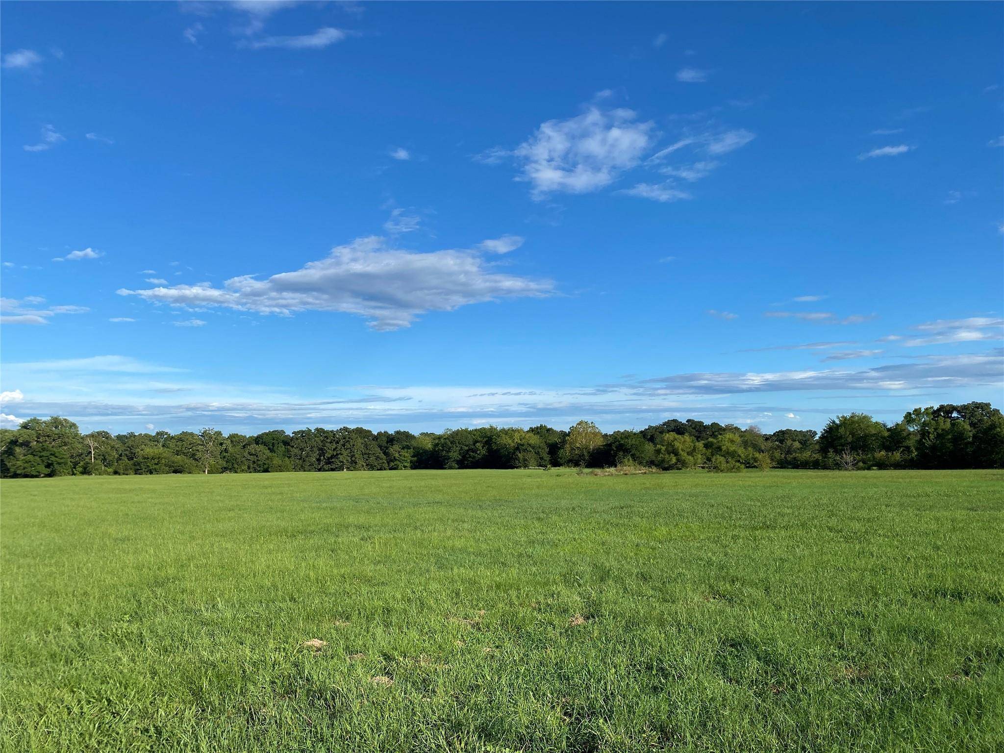 Sulphur Springs, TX 75482,19Acres County Road 2322