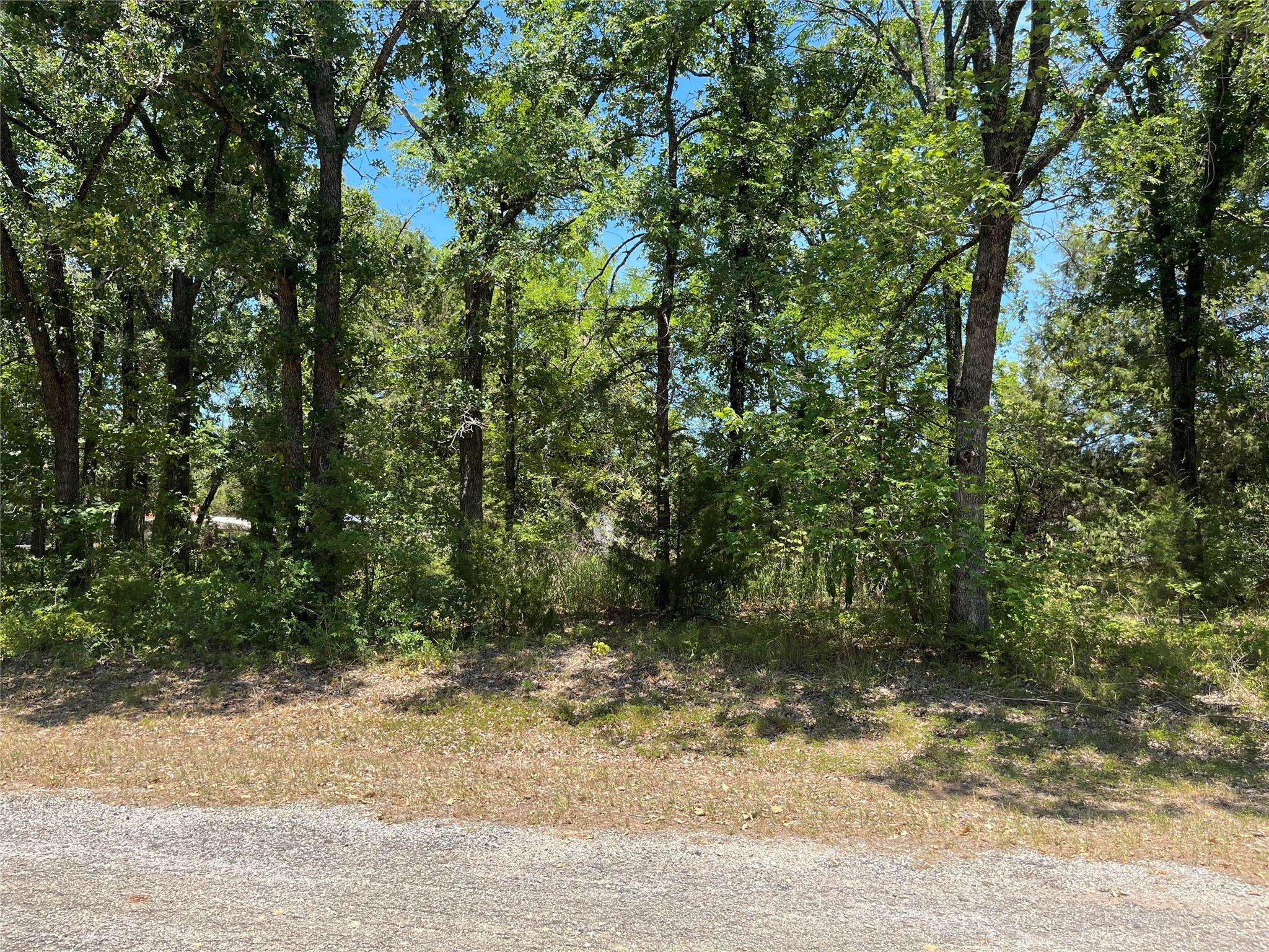 Streetman, TX 75859,Lot 8 Brandywine Avenue