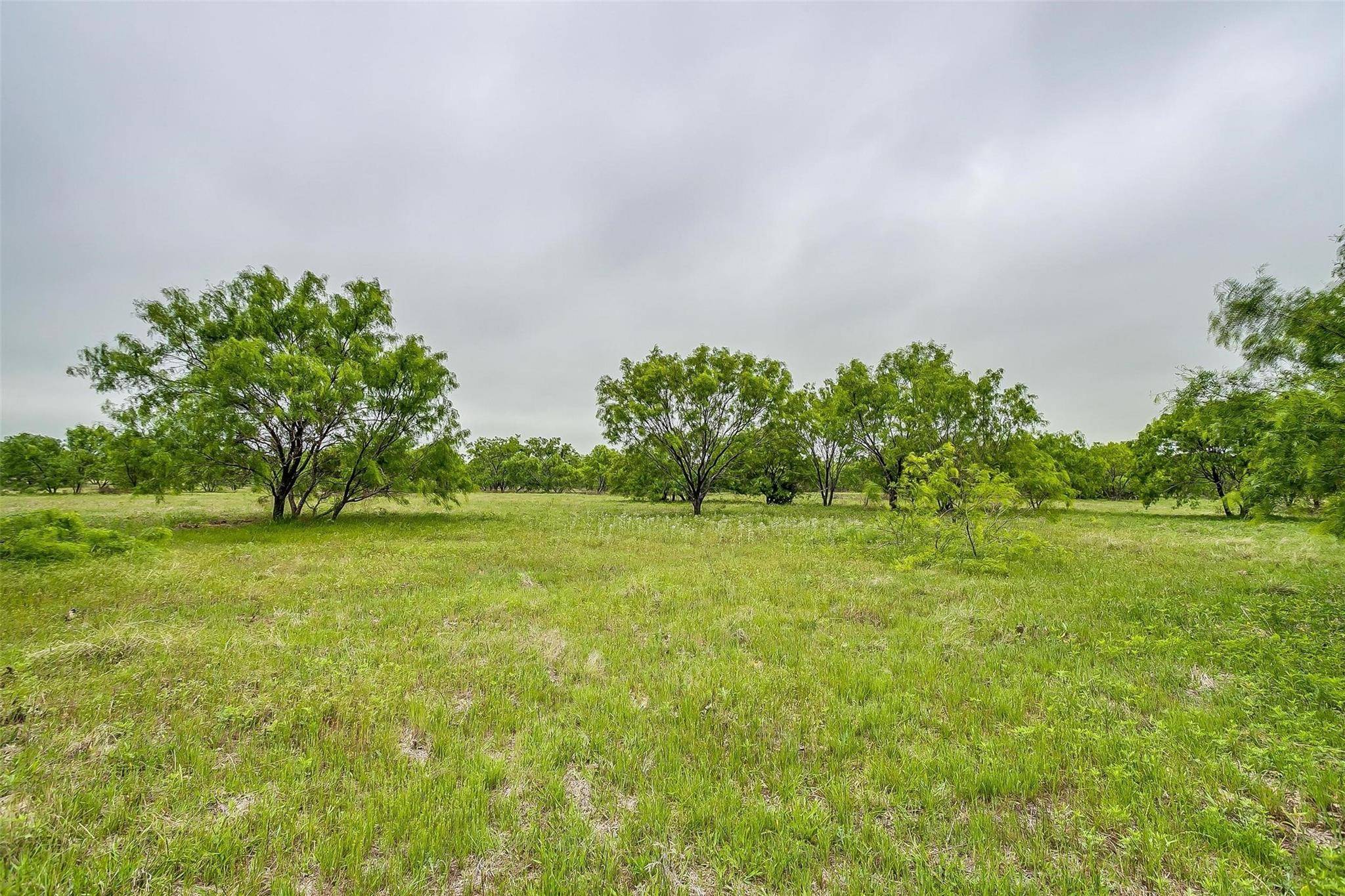 Stephenville, TX 76401,4 Ava Lane