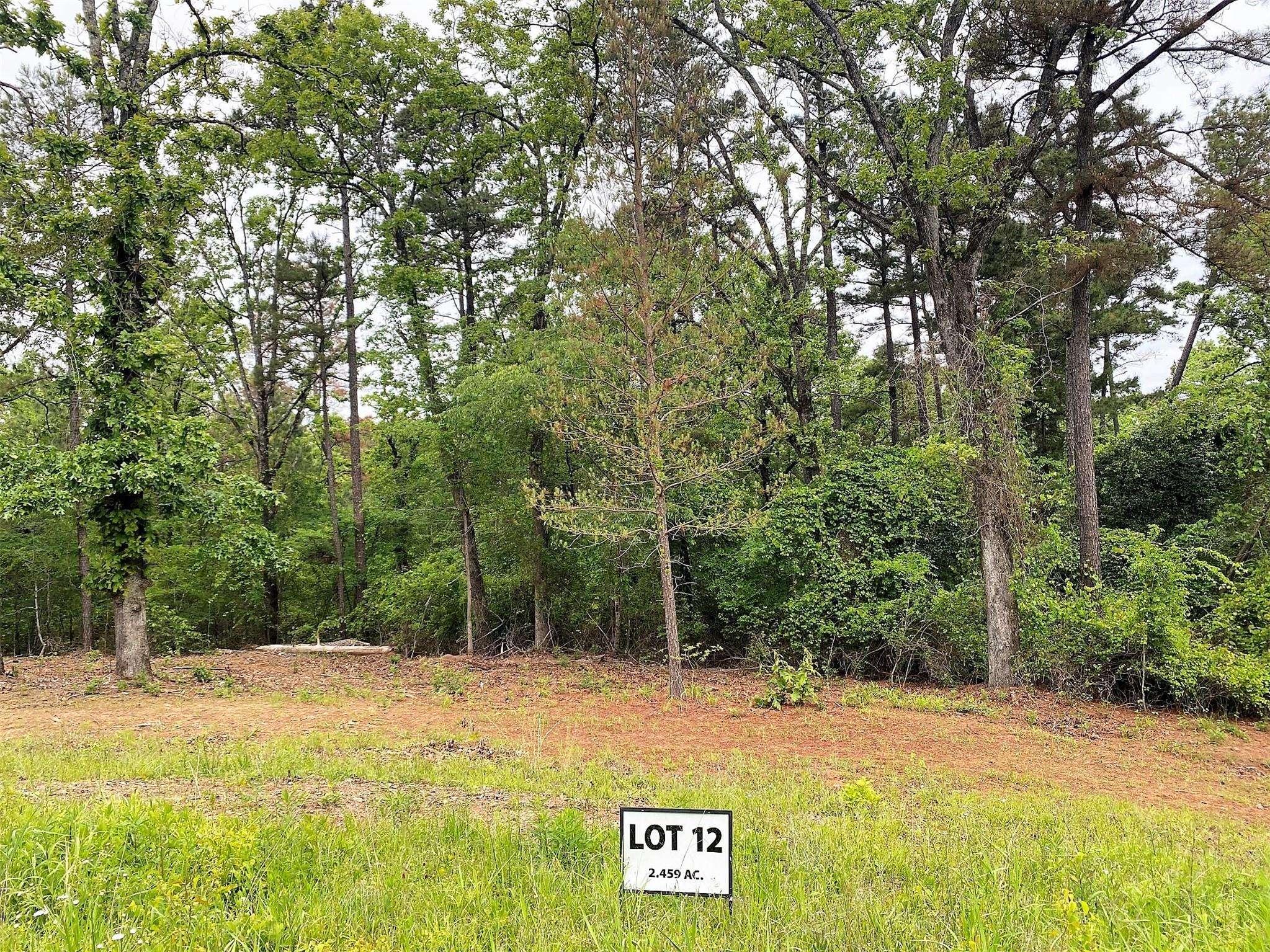 Lindale, TX 75771,Lot 12 County Road 436