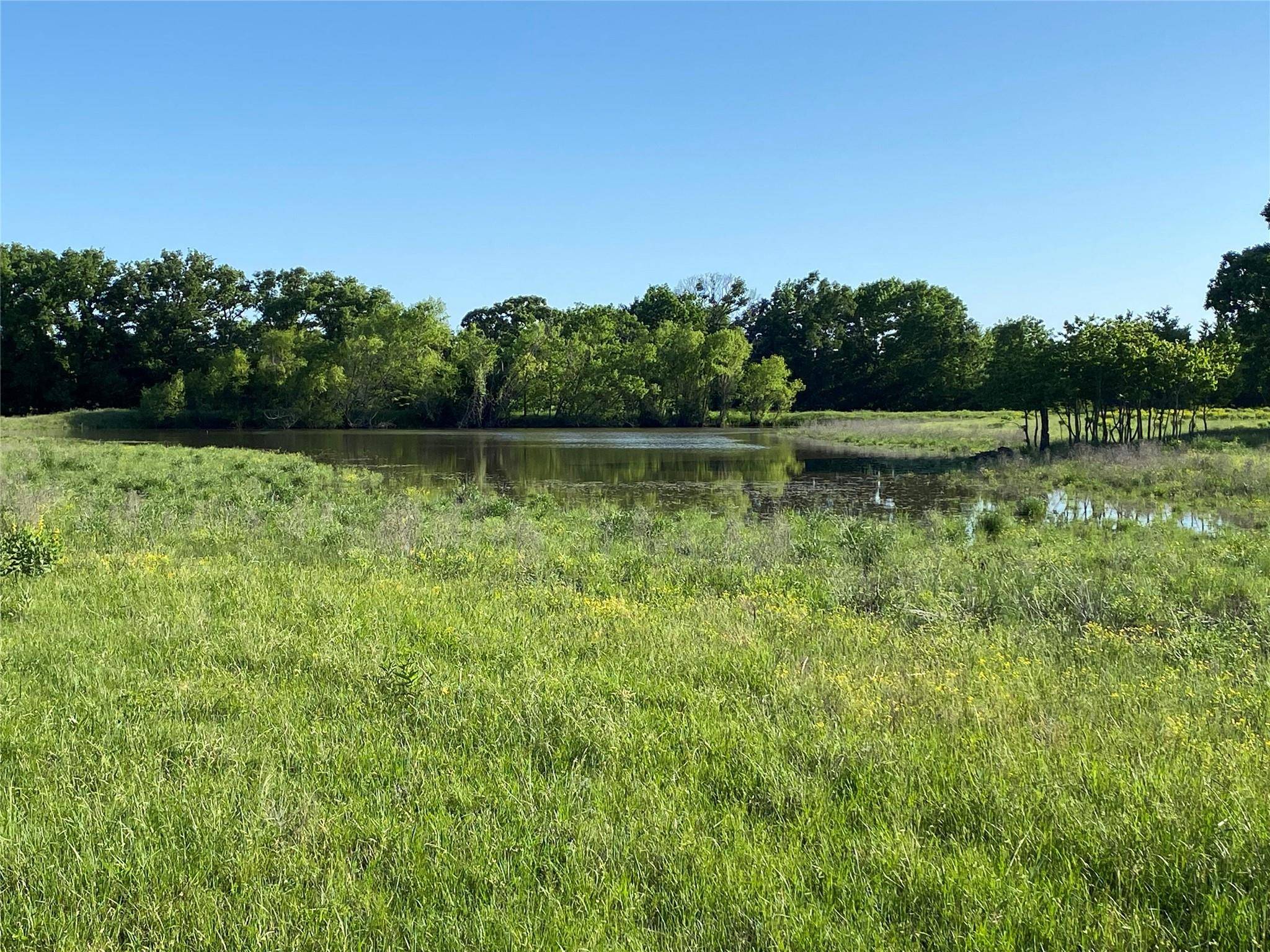 Paris, TX 75462,TBD Lot 7 CR 15580