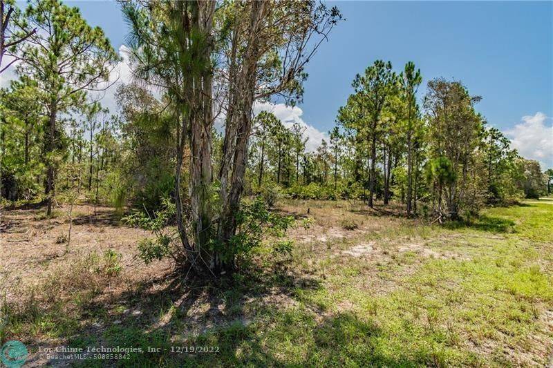 Other City - In The State Of Florida, FL 33974,2429 MEADOW RD