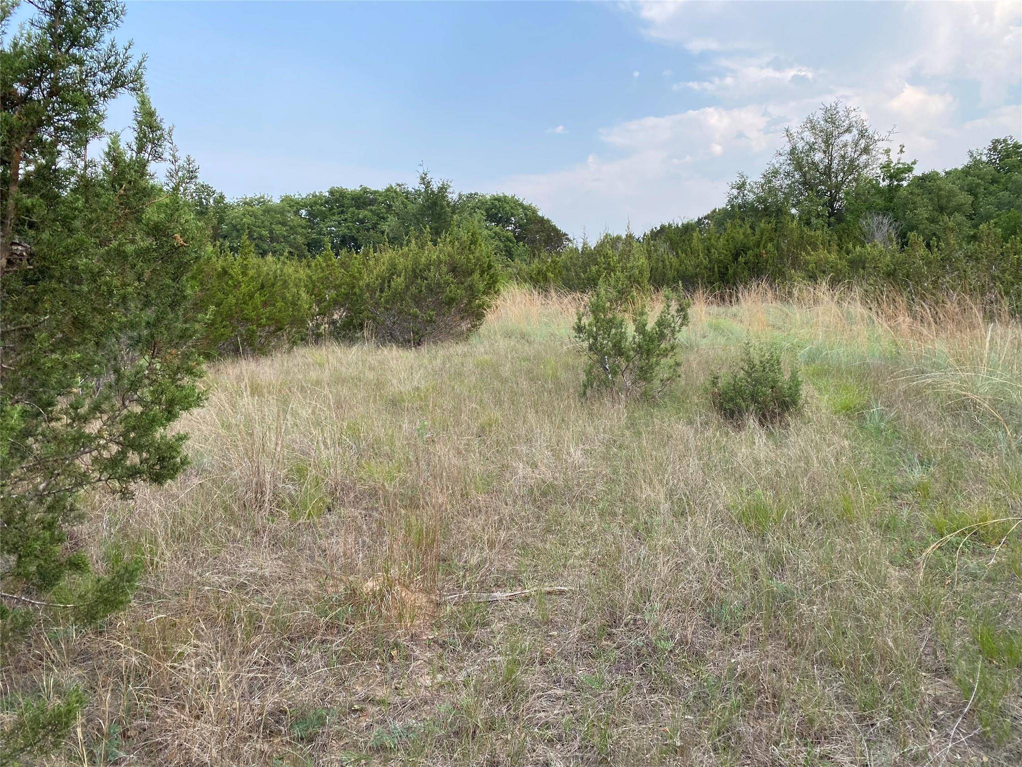 Glen Rose, TX 76043,TBD County Road 2030