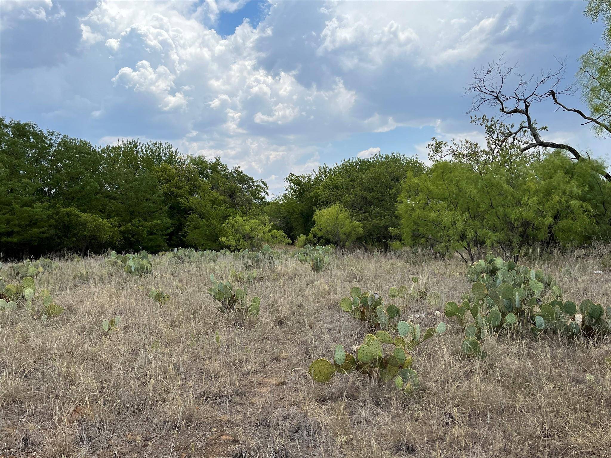 Cisco, TX 76437,12 Acres Highway 6