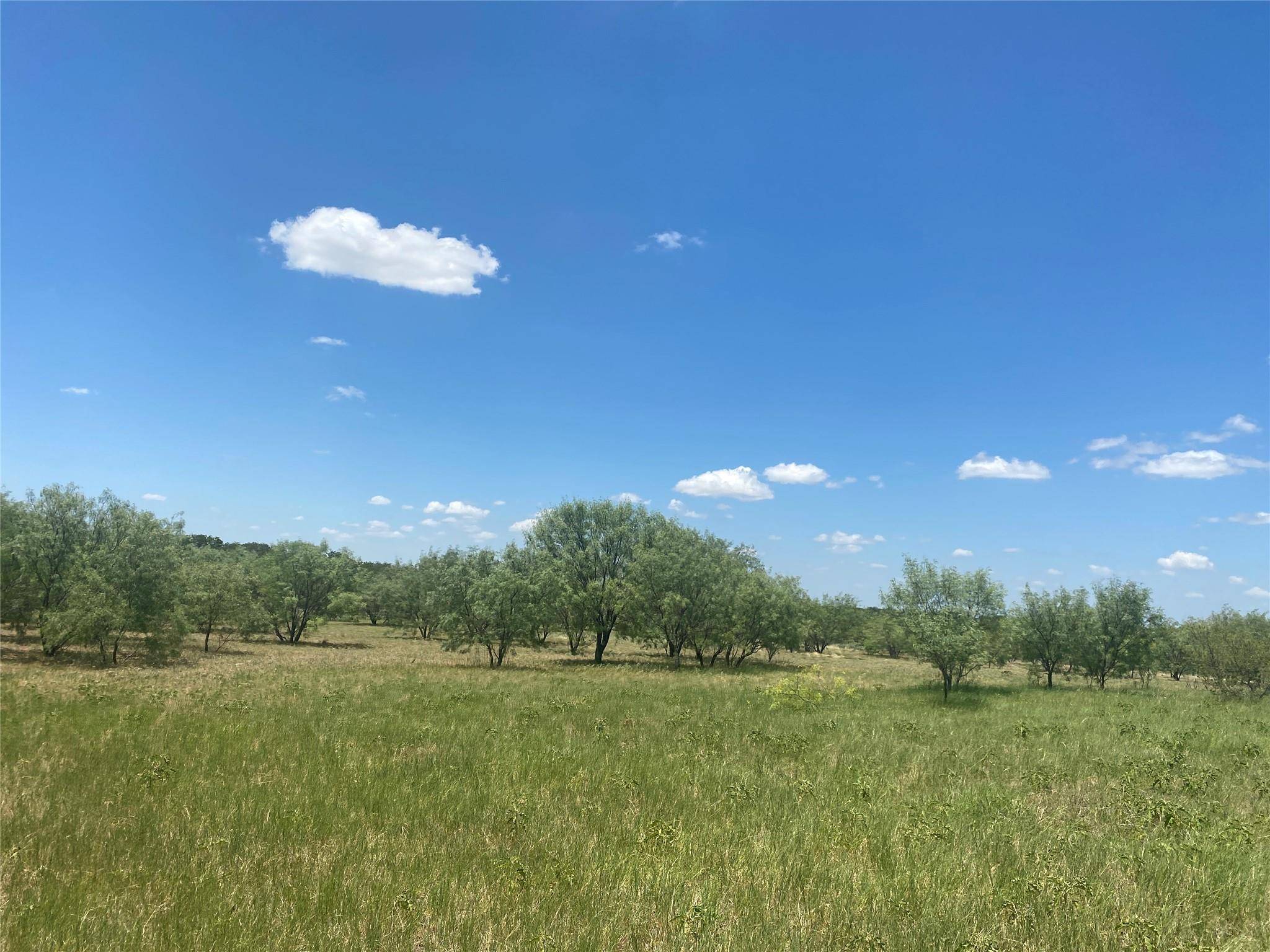 May, TX 76471,TBD County Road 442