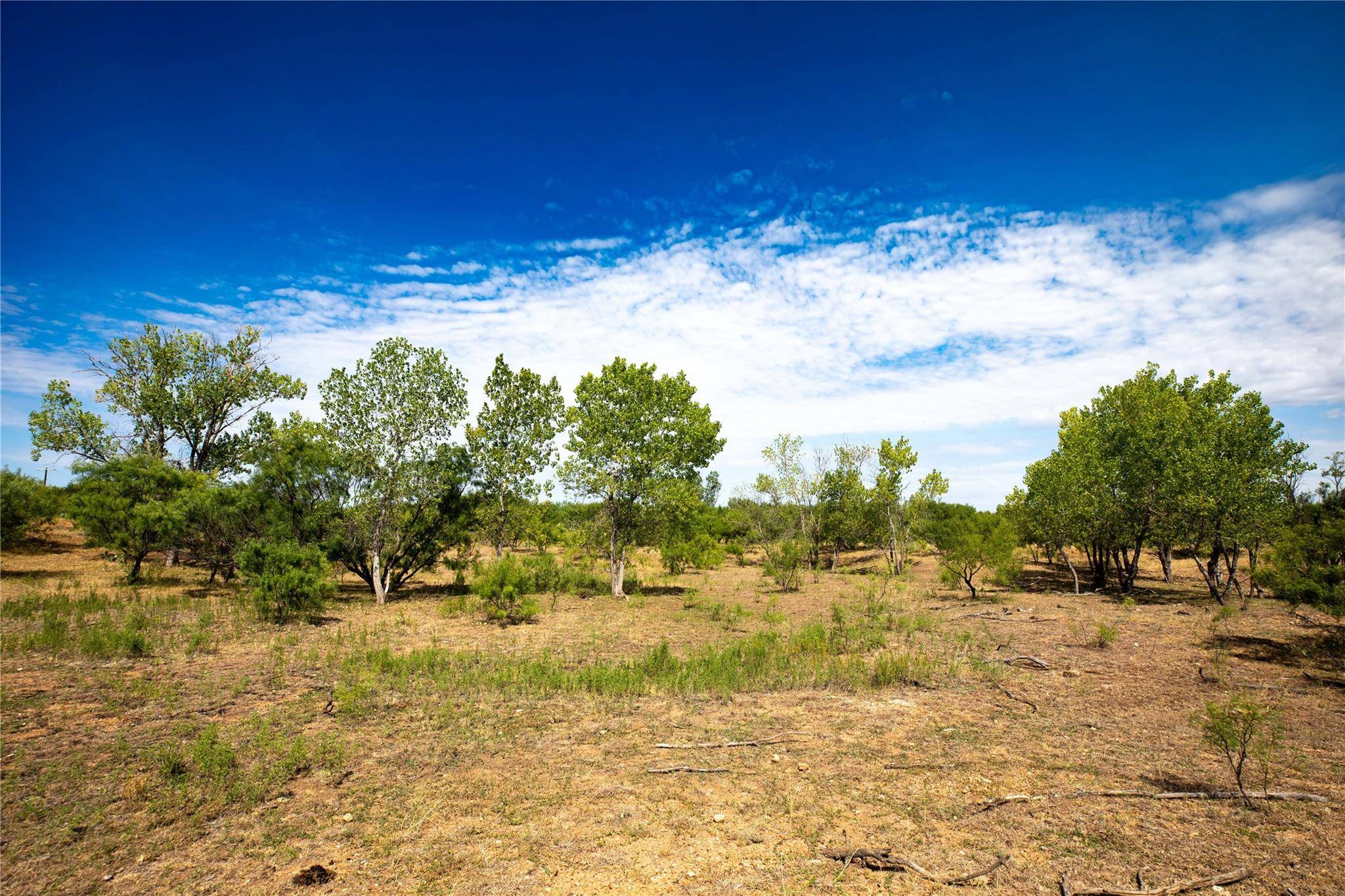 Haskell, TX 79521,600 weaver road