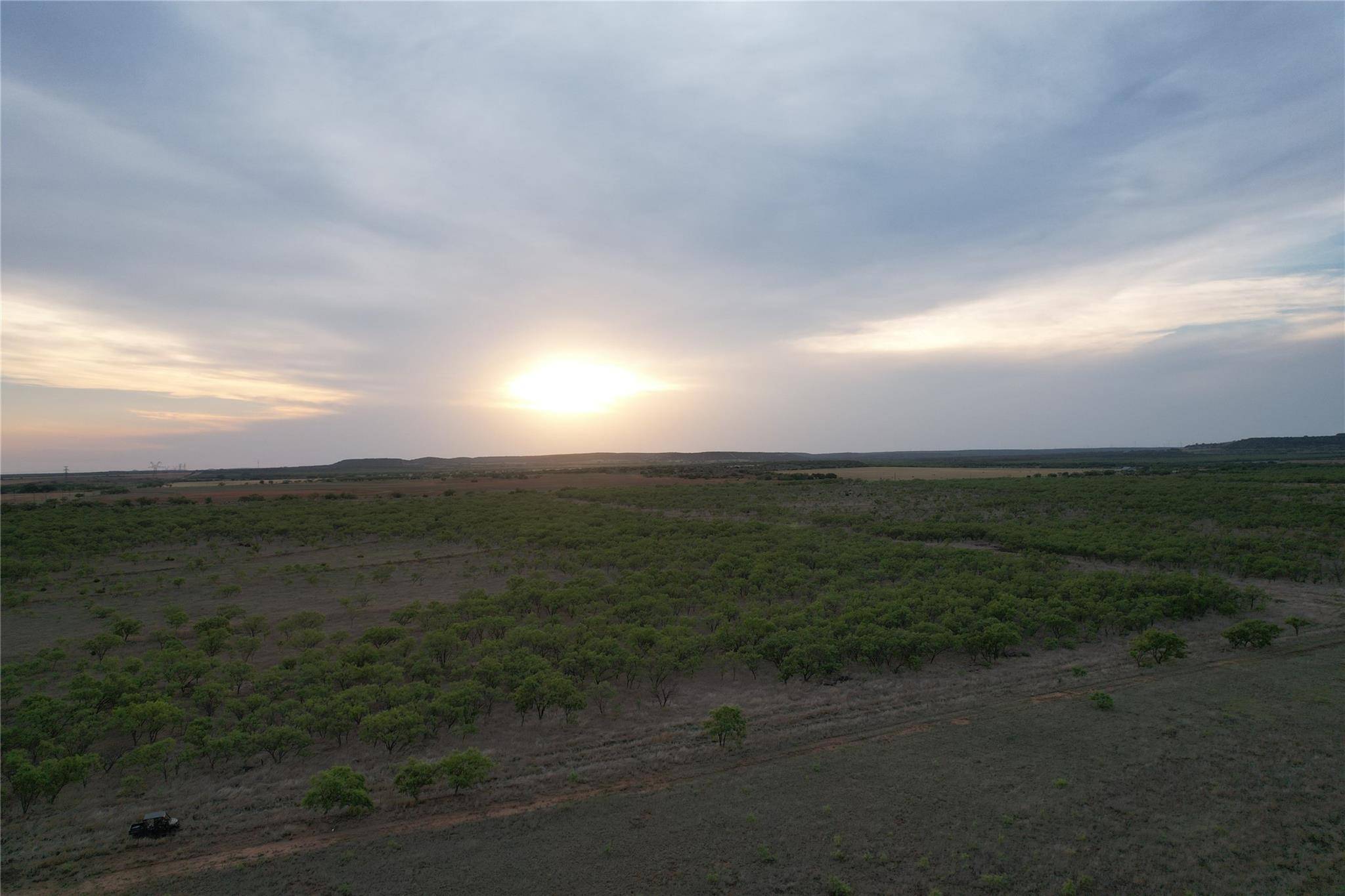 Ovalo, TX 79541,44+/- Ac CR 186