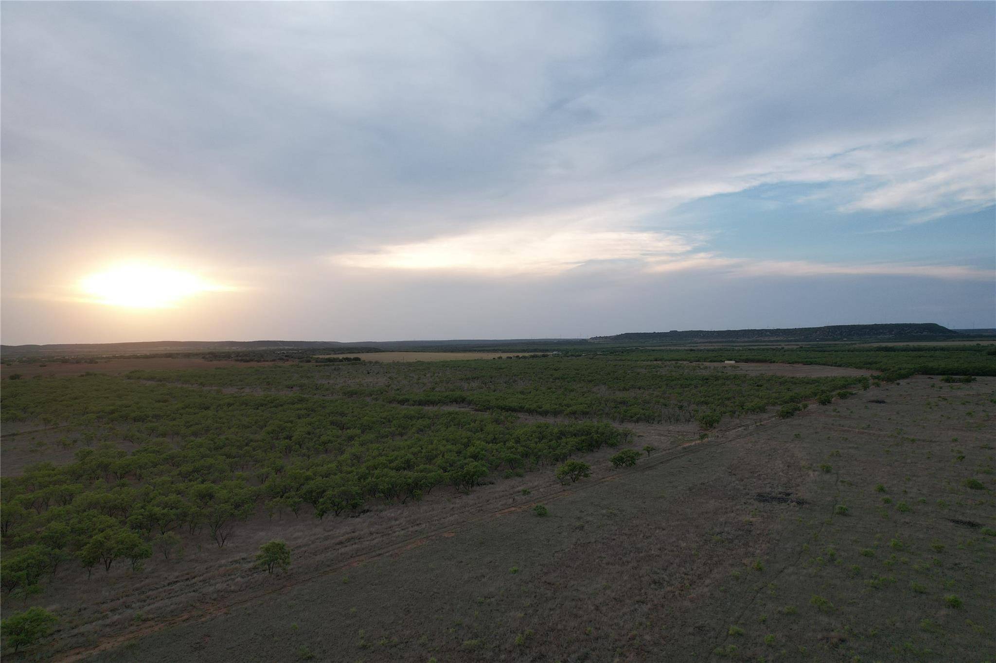 Ovalo, TX 79541,44+/- Ac CR 186