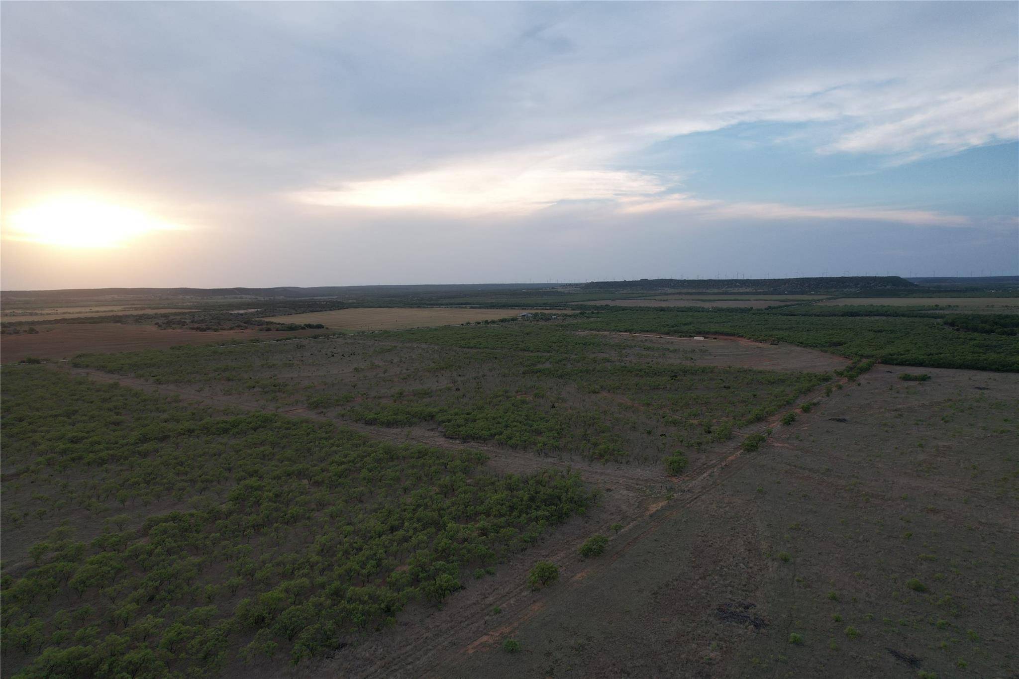 Ovalo, TX 79541,44+/- Ac CR 186