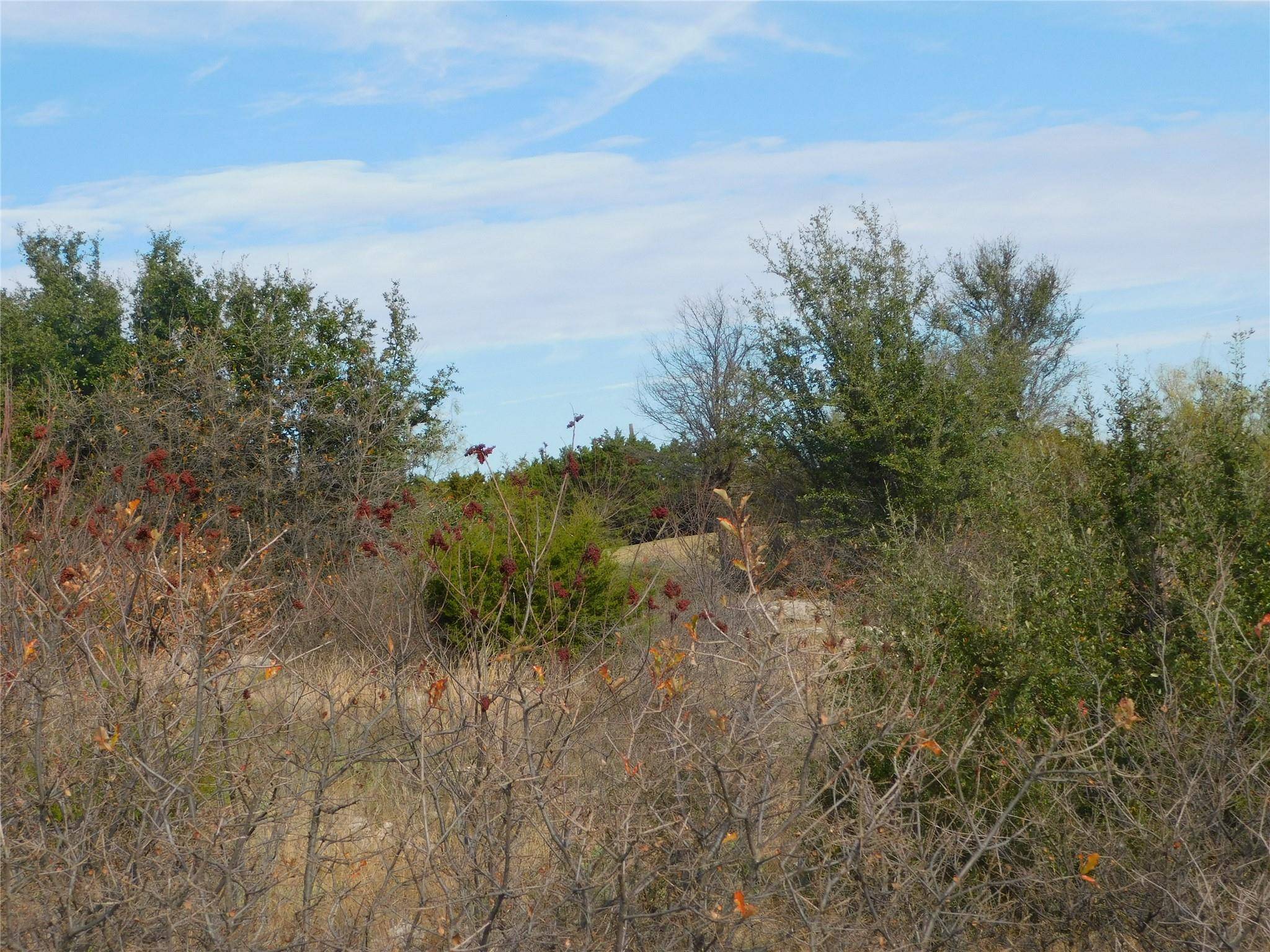 Graford, TX 76449,Lot 57 St Andrews Court