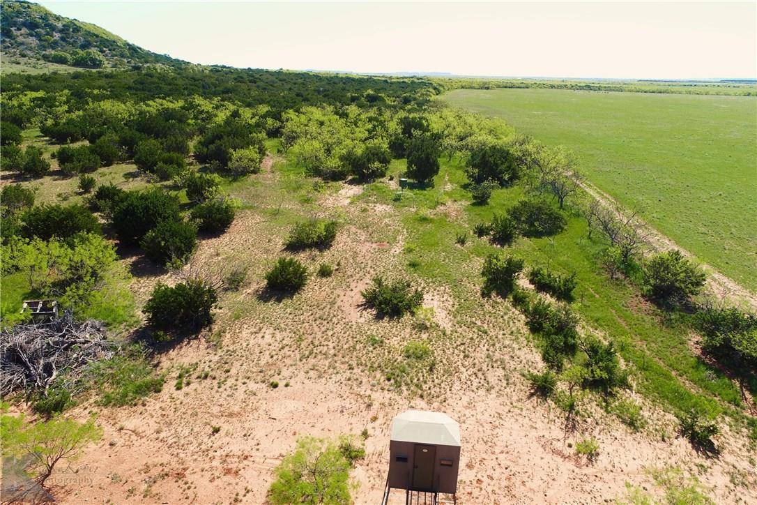 Ovalo, TX 79541,TBD County Road 194