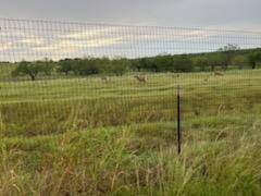 Palmer, TX 75152,Lot 3 FM 813