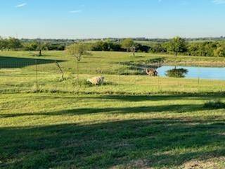 Palmer, TX 75152,Lot 3 FM 813