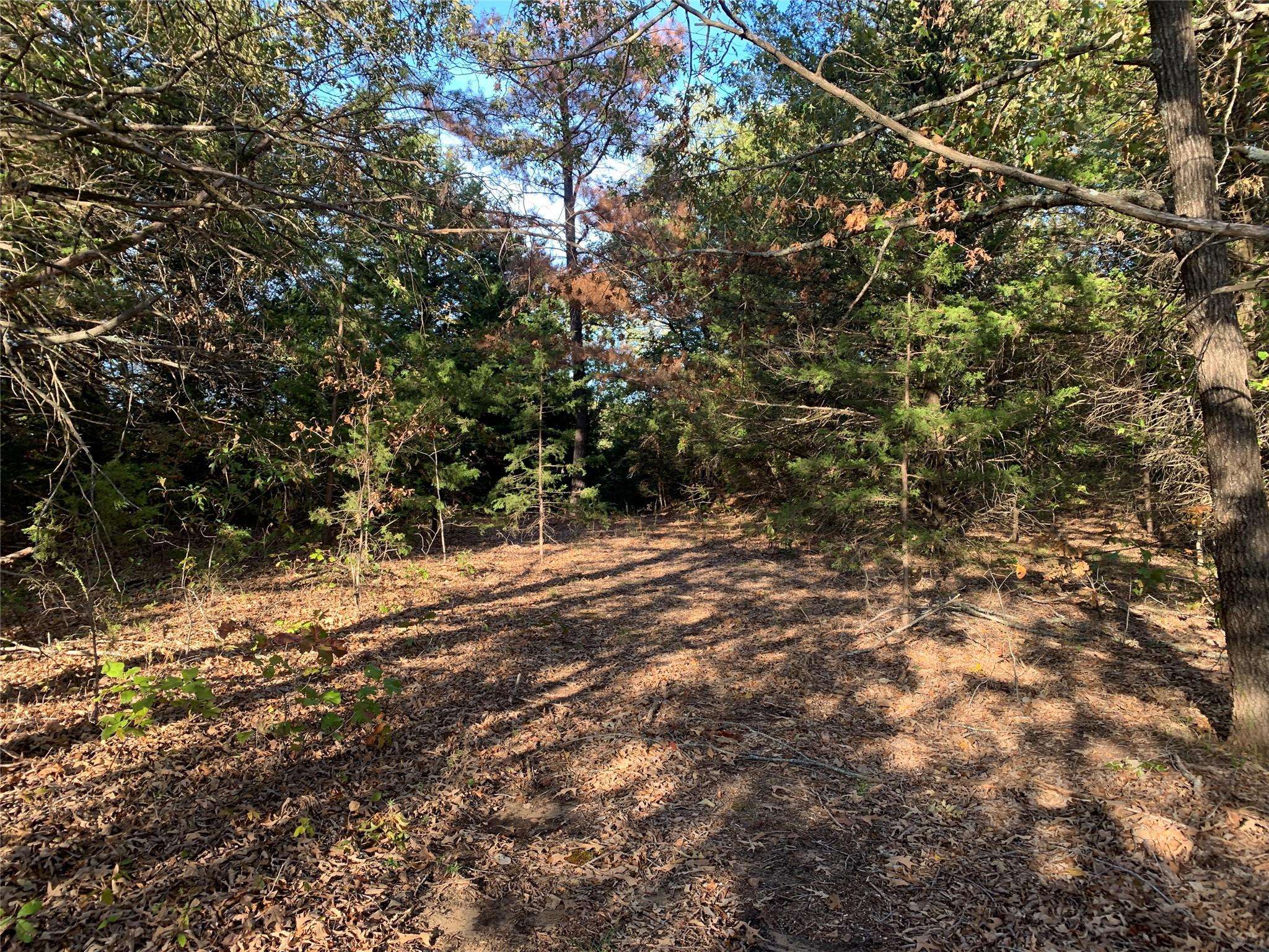 Honey Grove, TX 75446,Lot 16 Pr 41