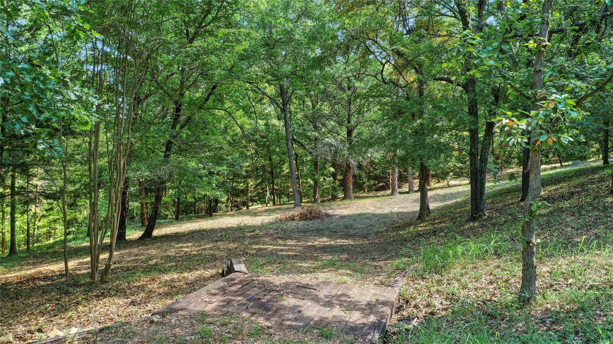 Pottsboro, TX 75076,TBD Idlewild Drive