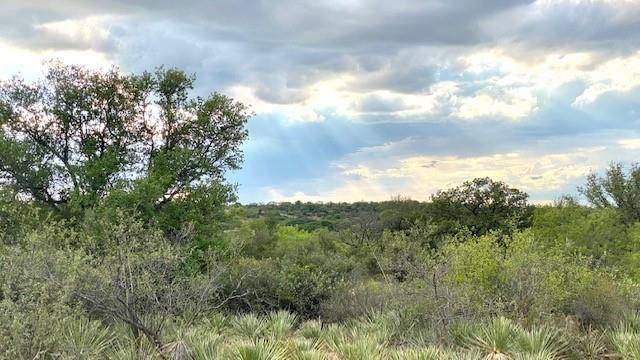 Richland Springs, TX 76871,TBD CR 264