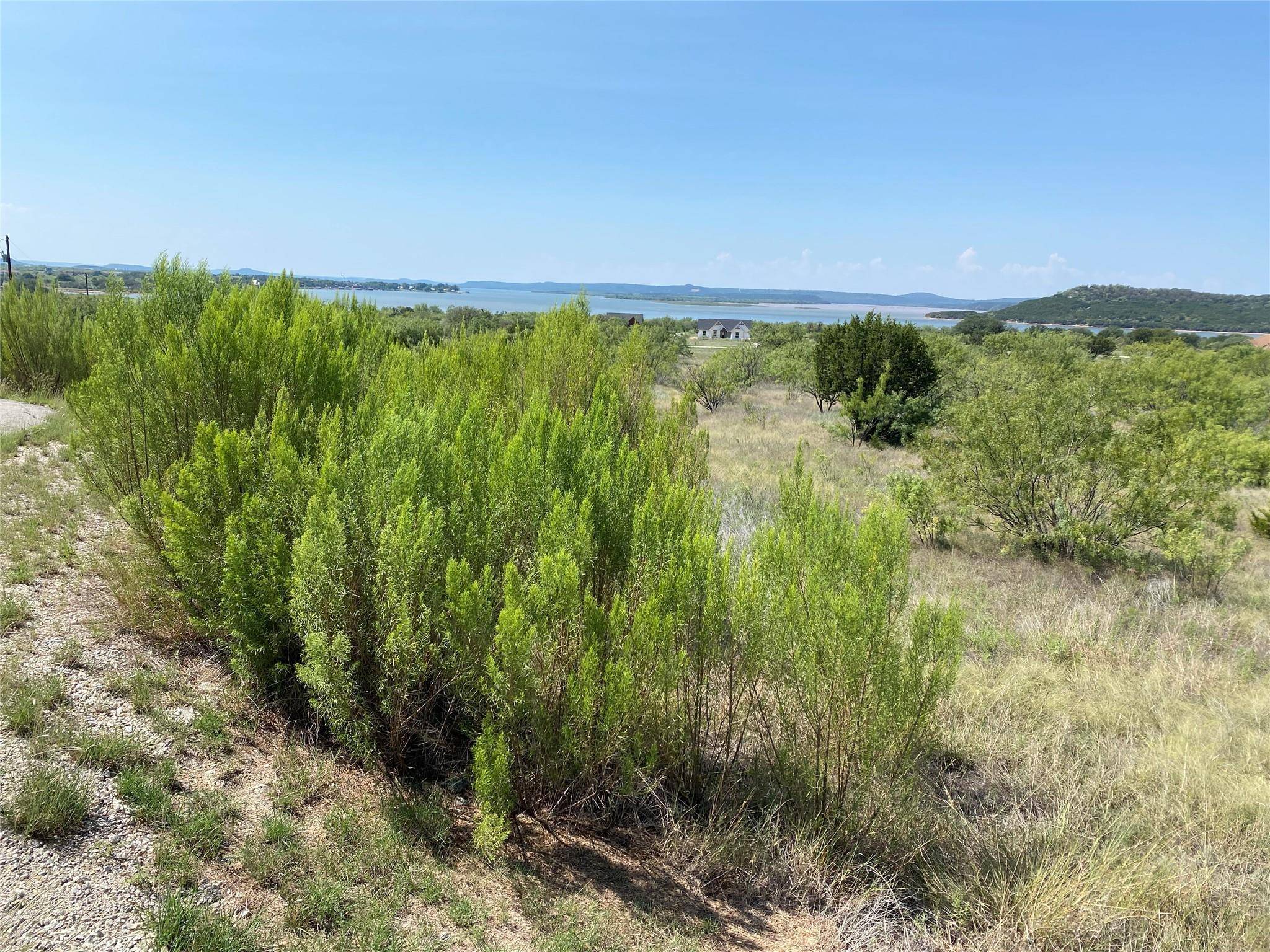 Graford, TX 76449,Lot 1057 Cinnamon Teal Drive